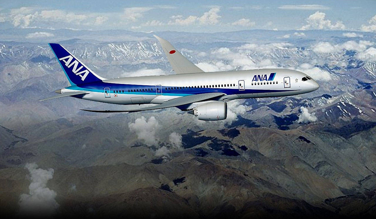 Download ANA Plane Above The Mountains Wallpaper