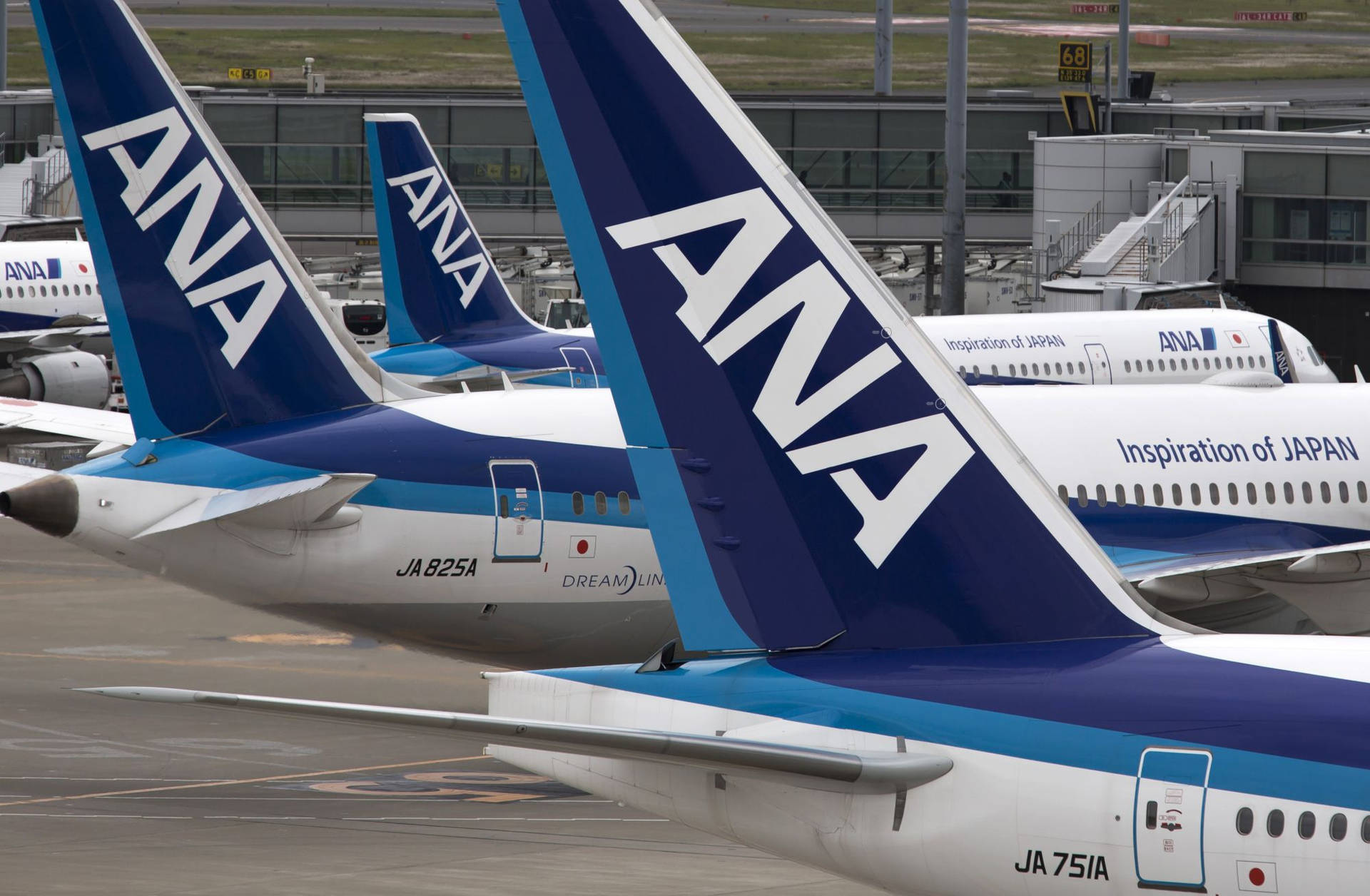 Download ANA Aircraft Tails Wallpaper