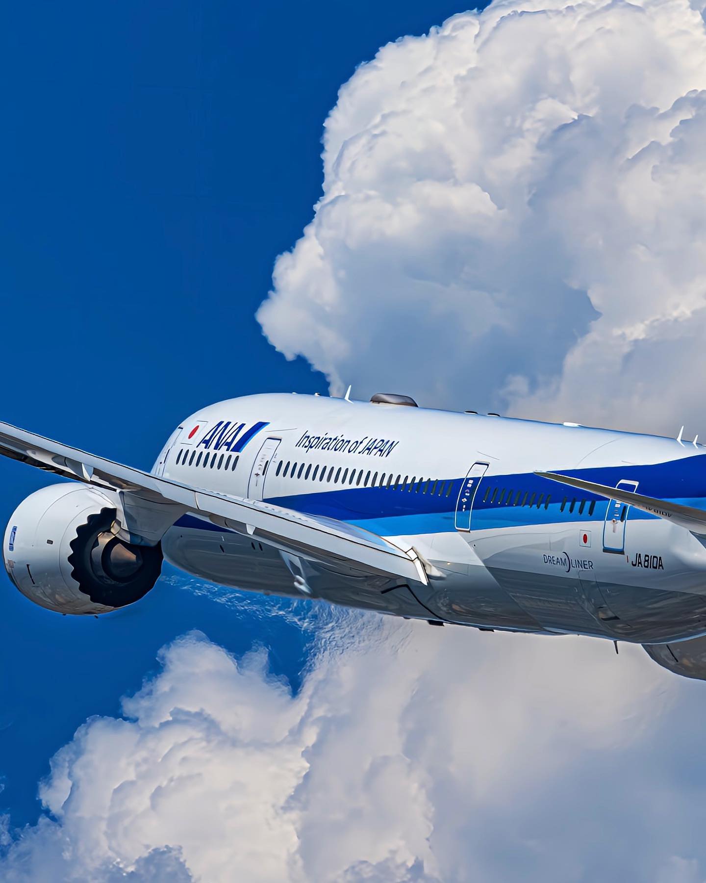 All Nippon Airways planes look perfectly at home in the sky ✈️ #AllNipponAirways #FlyANA