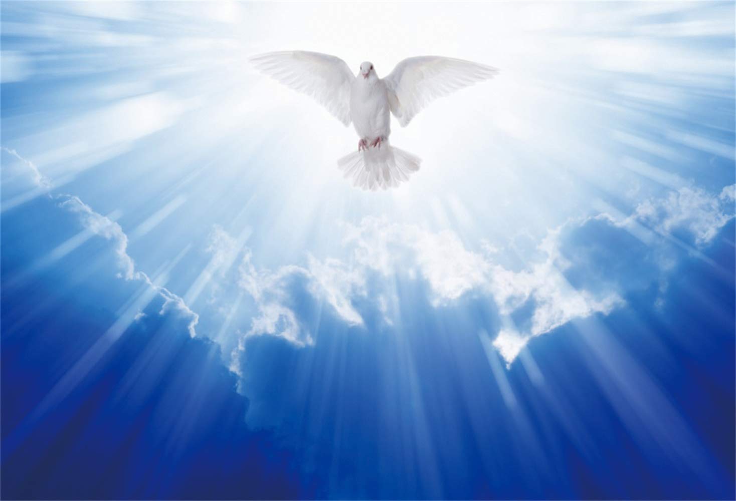 Amazon.com, Leowefowa 10x8ft Jesus Christ Backdrop Vinyl Holy Light Beams Dove in The Air with Wings Wide Open Photography Background Peace Symbolic Church Sanctuary Decor Christian Photo Shoot
