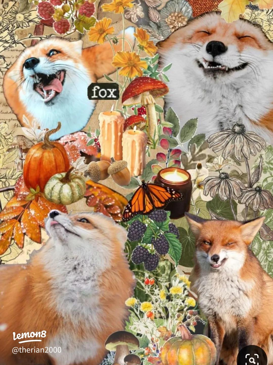 Therian Wolf and Fox Wallpaper: Embrace Your Spirit