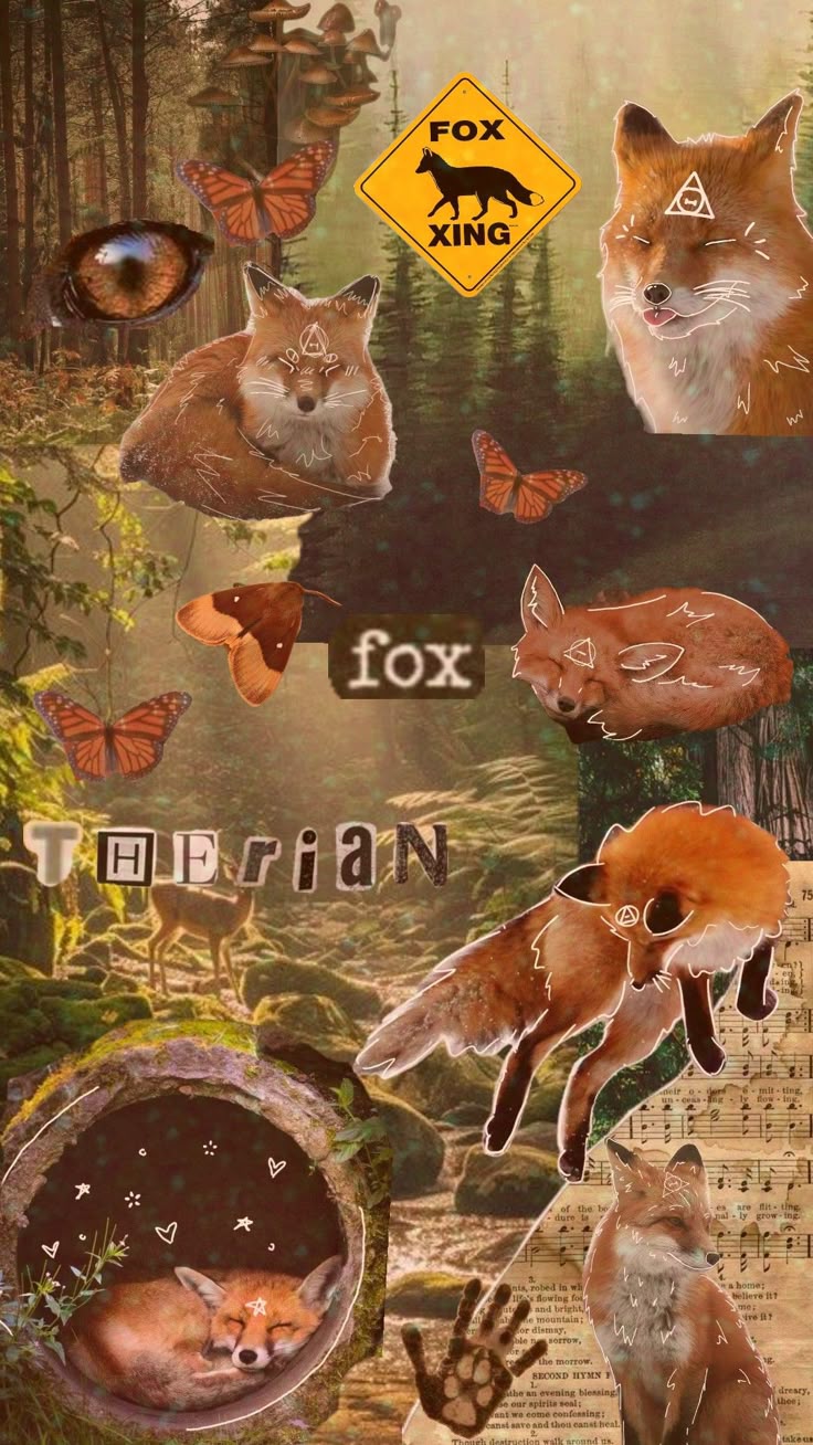 not a therian but support them! #foxtherian #therian #therianthropy #therianwallpaper #fox #wallpaper