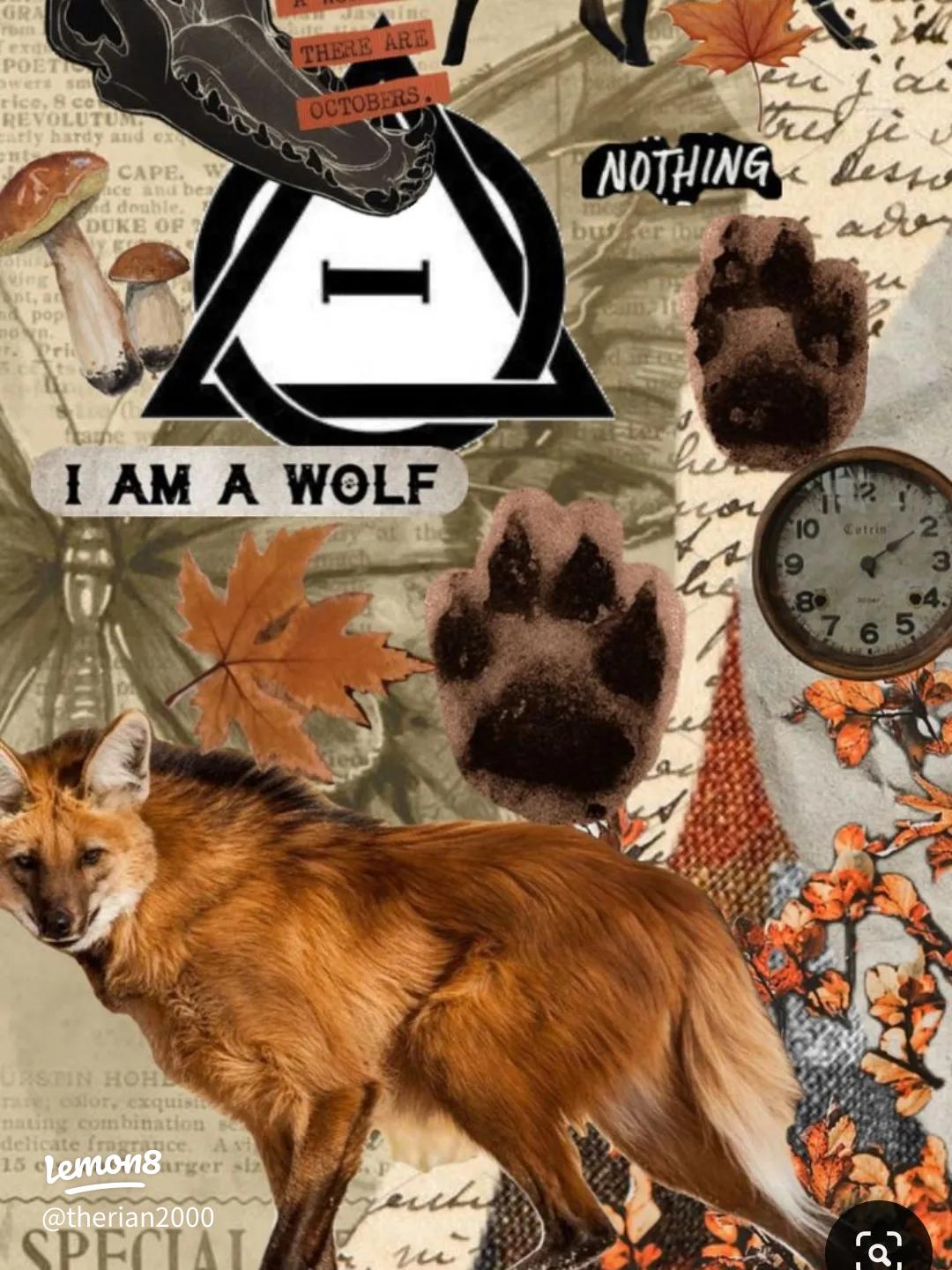 Therian Wolf and Fox Wallpaper: Embrace Your Spirit