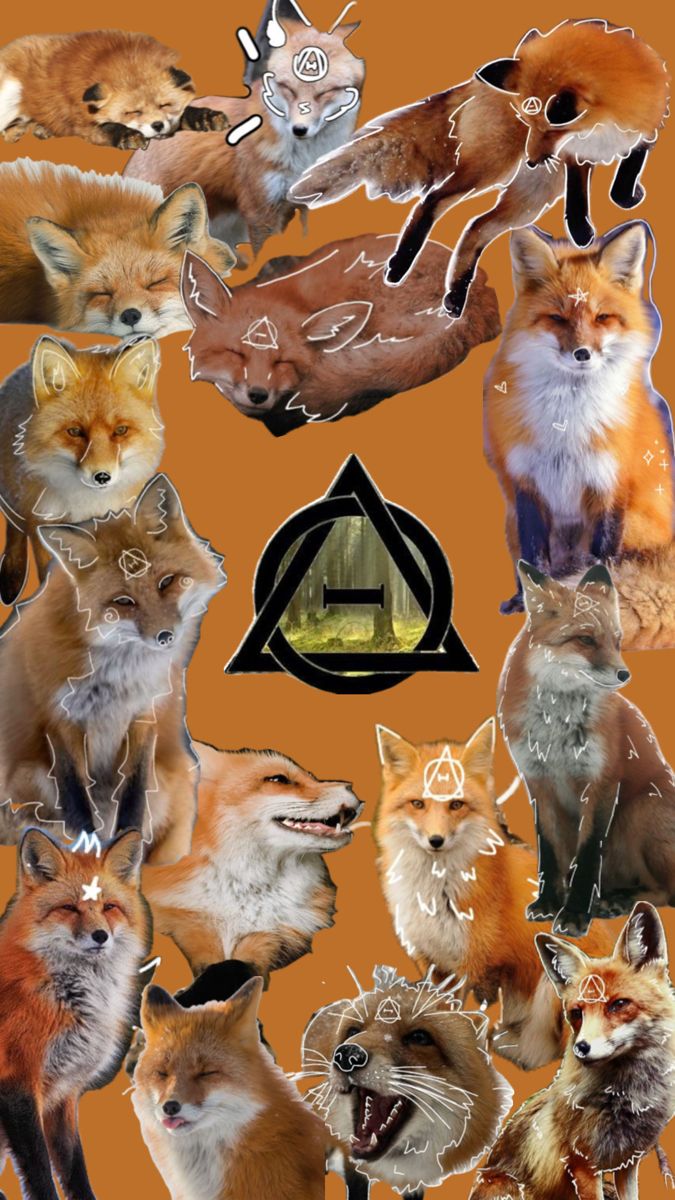 fox #therian #therianthropy