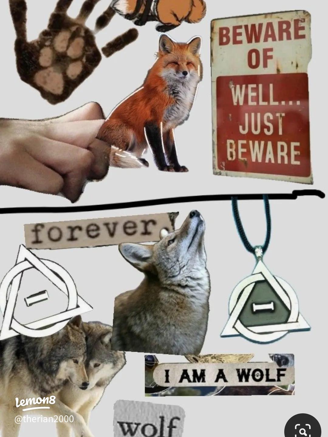 Therian Wolf and Fox Wallpaper: Embrace Your Spirit