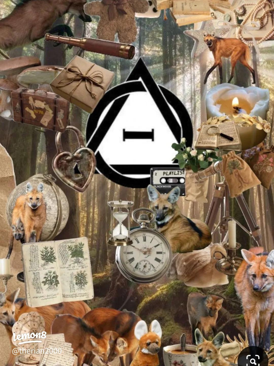 Therian Wolf and Fox Wallpaper: Embrace Your Spirit