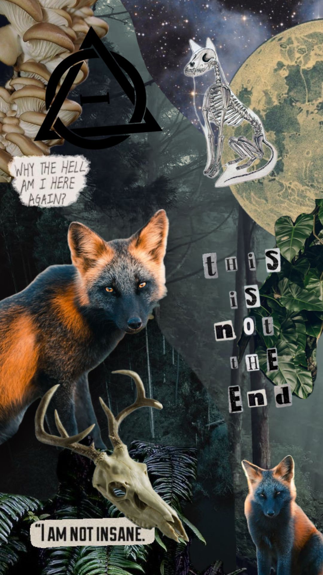 Cross fox dark forest core Therian board! #therian #fox #vibes #wallpaper #nature forest