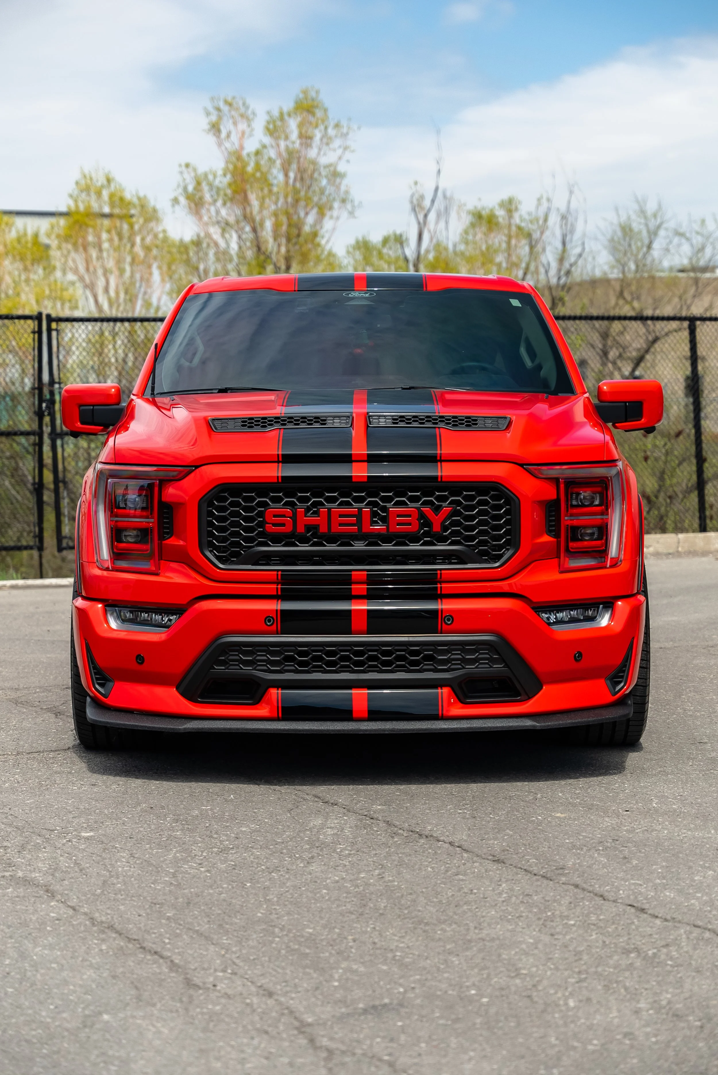 Colored PPF Transformation: F 150 Shelby Super Snake