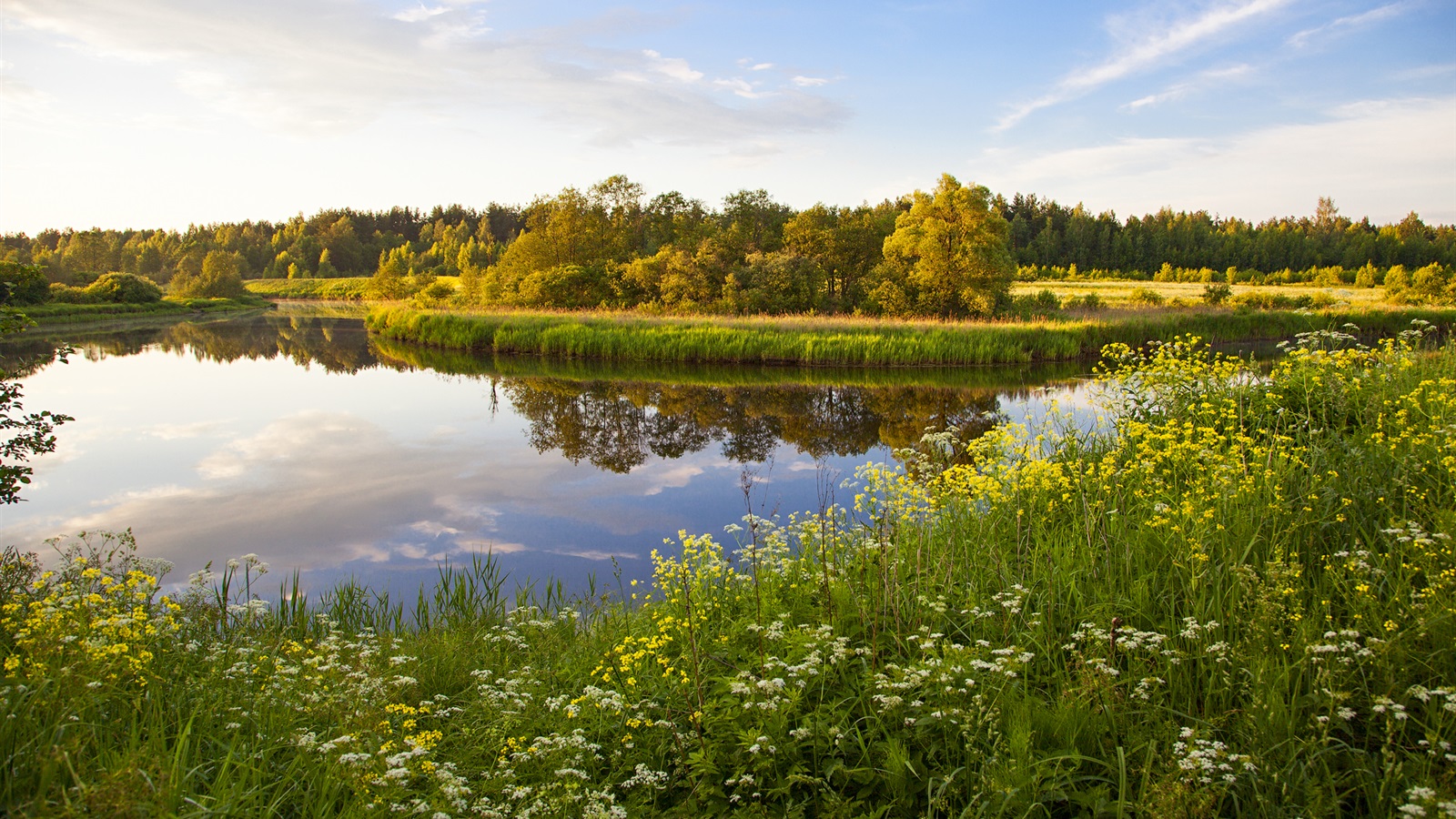Wallpaper Russia, Tver, lake, grass, flowers, trees 1920x1200 Picture, Image