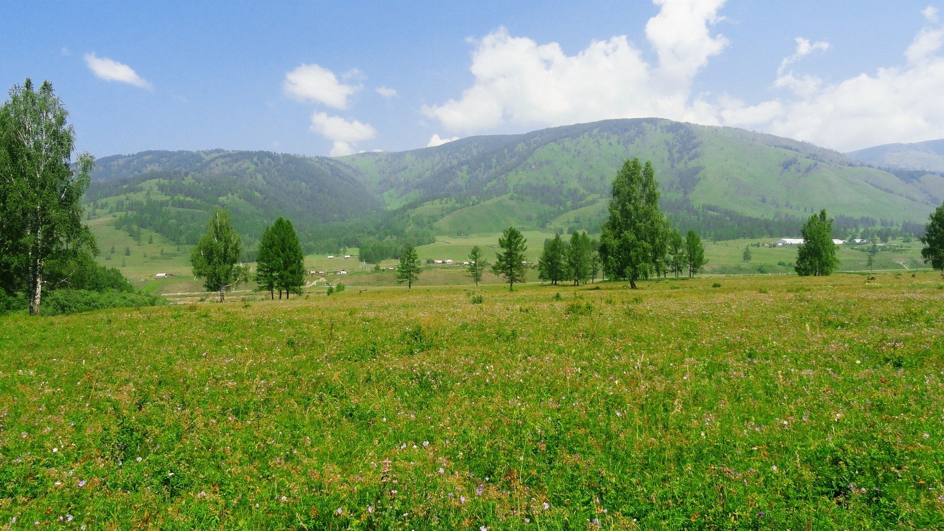 Russia grass hills landscapes nature wallpaper Desktop wallpaper 1920x1080