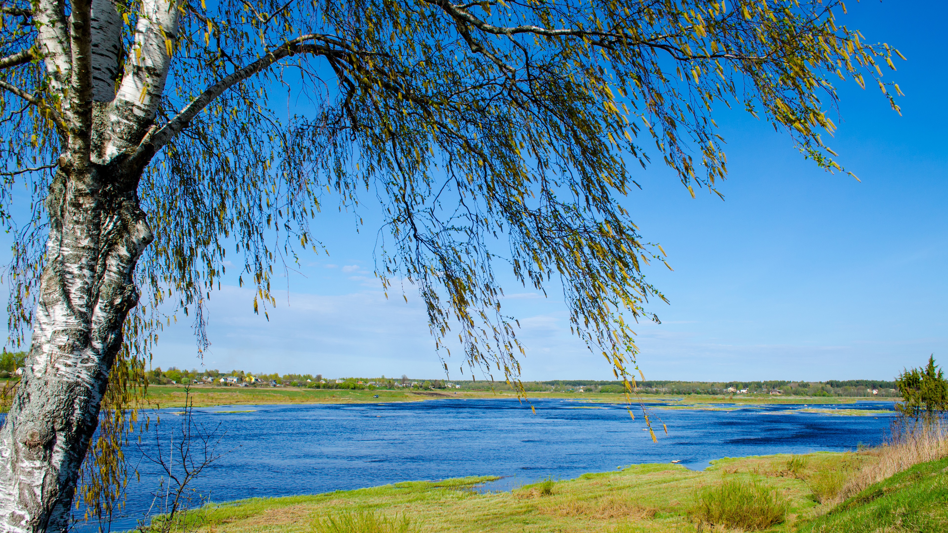 Wallpaper Russia nature landscape, river, birch, grass, blue sky 3840x2160 UHD 4K Picture, Image