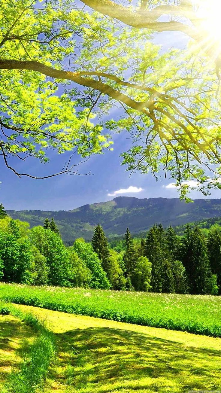 Природа России / Nature of Russia