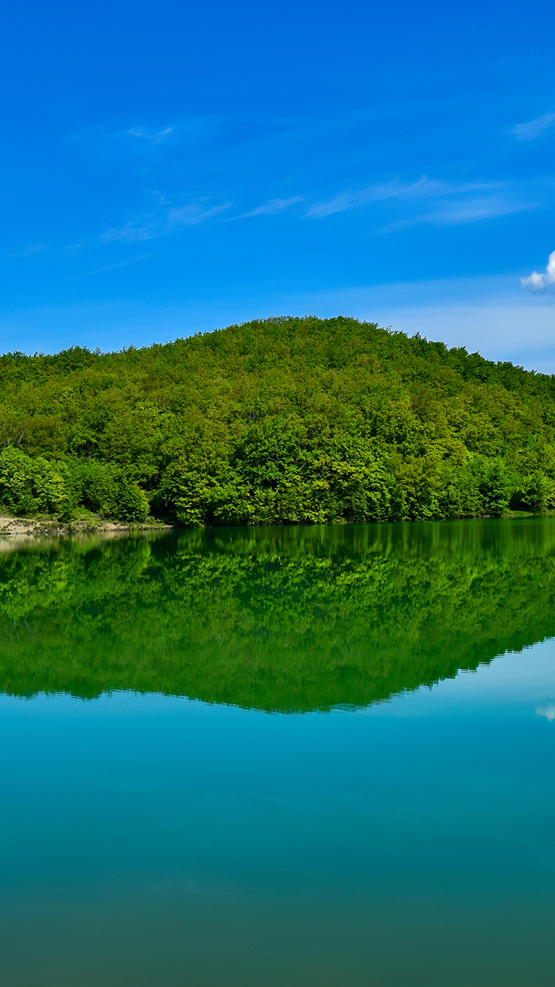 Photo Crimea Russia Nature Hill forest Bay 1080x1920