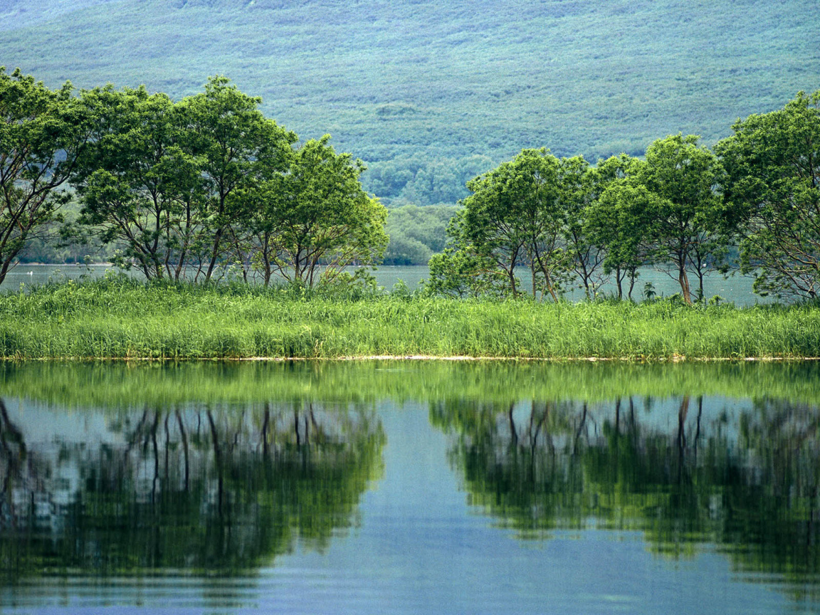 Nature Russia Desktop wallpaper 1152x864