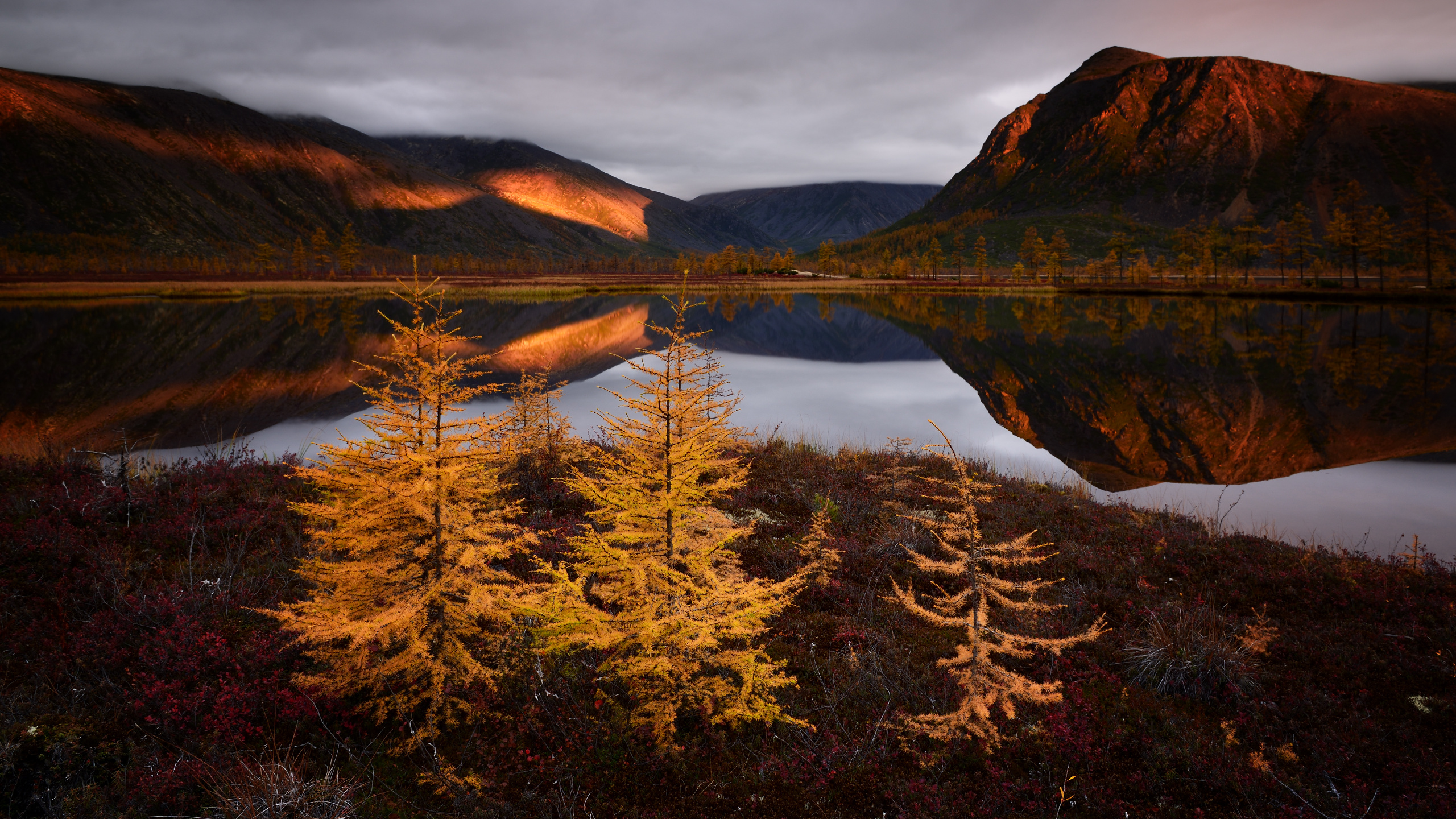 Autumn Lake Reflections Fall Clouds Nature Russia 1440P Resolution , HD 4k Wallpaper, Image, Background, Photos and Picture