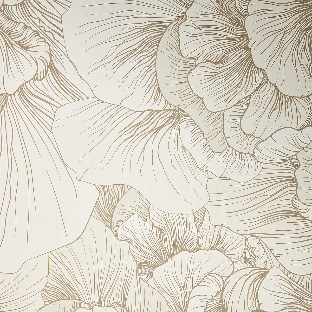 Venation Ivory Floral Wallpaper + Reviews