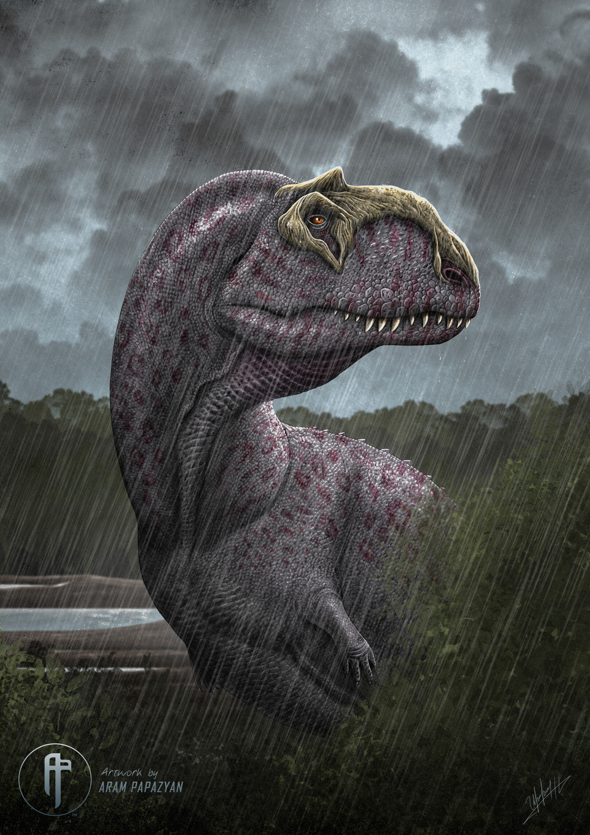 Majungasaurus crenatissimus
