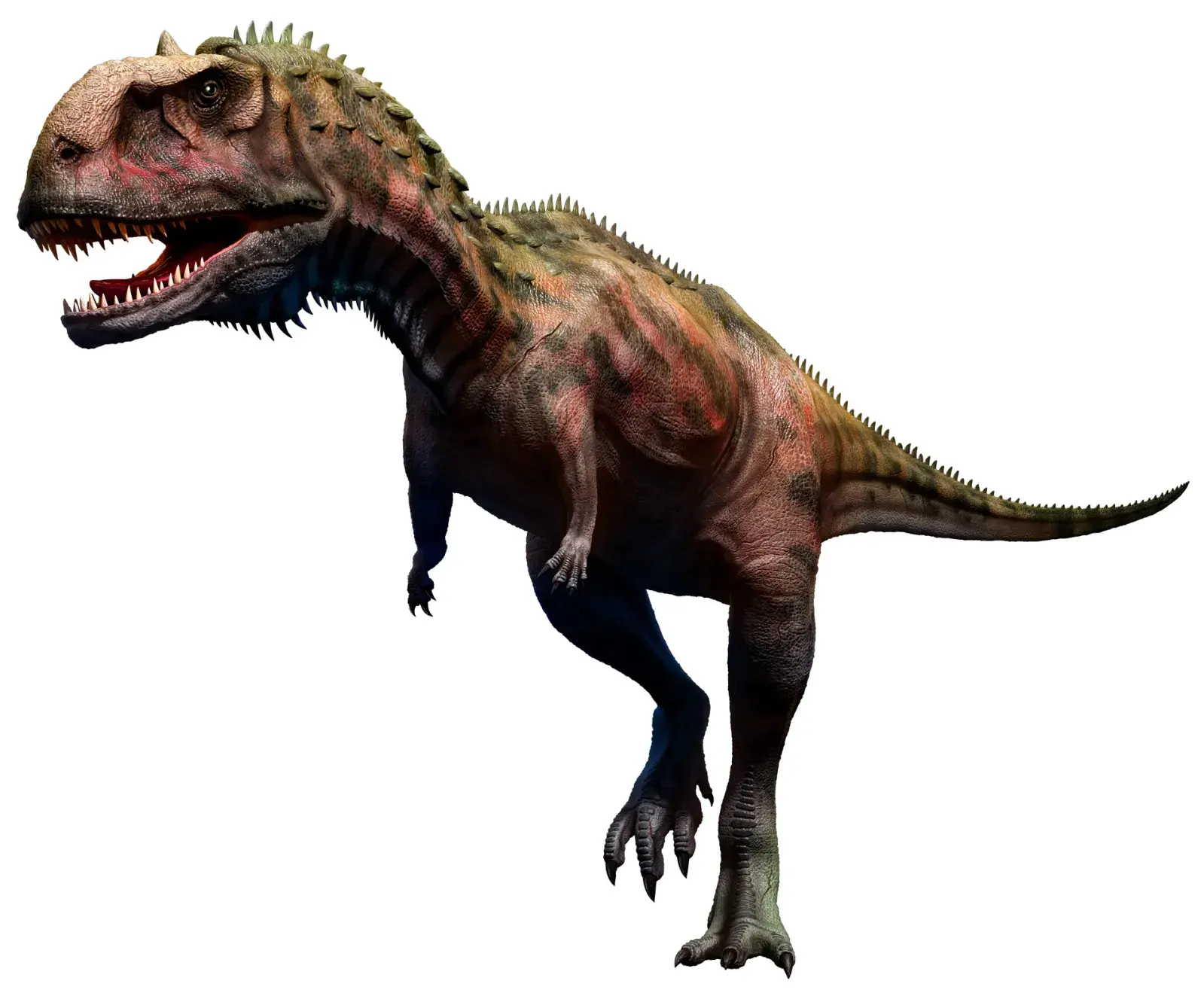 Majungasaurus, One of the Last Dinosaurs to Walk Earth, R