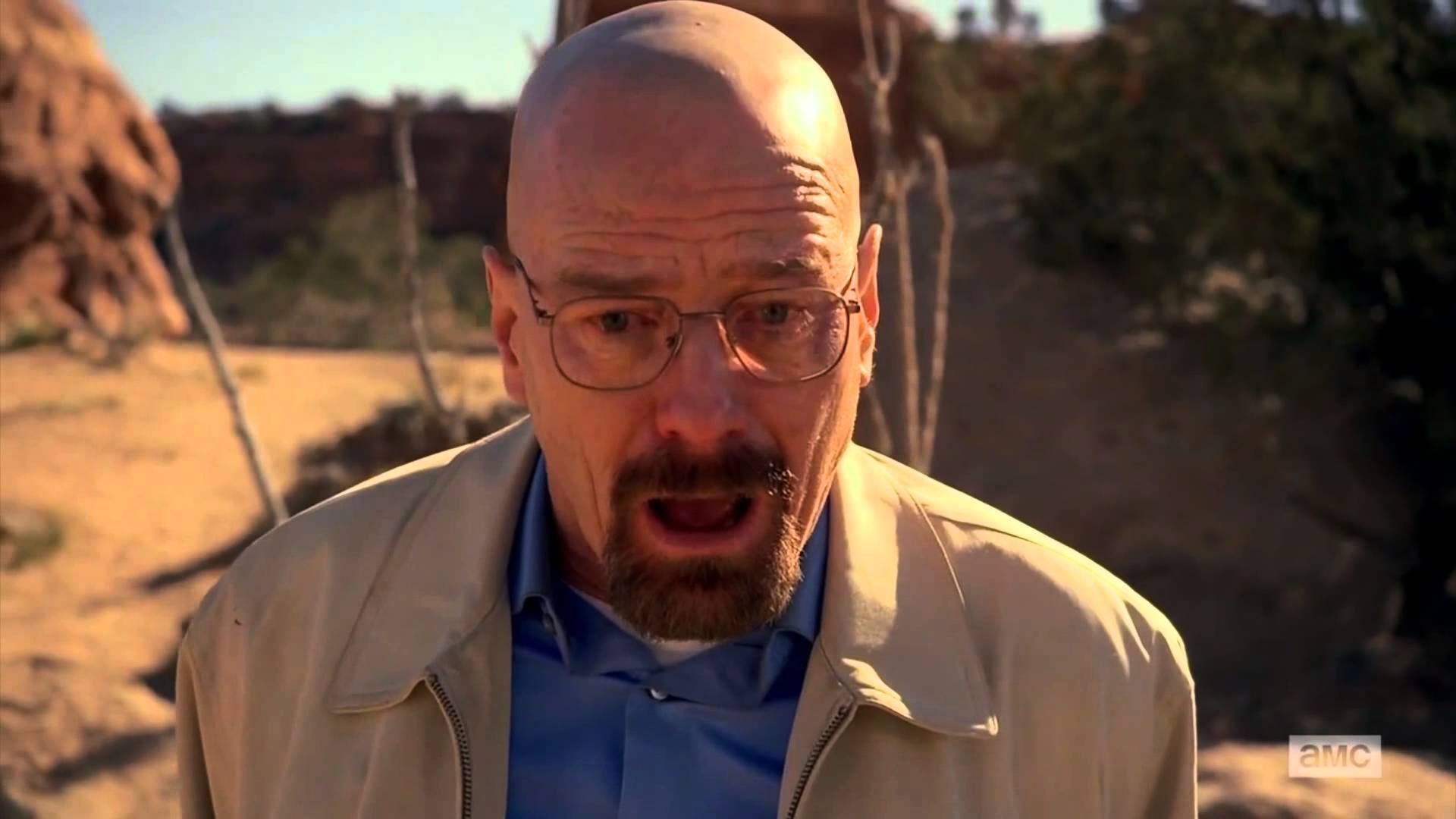 The Breaking Bad movie cast has supposedly been leaked
