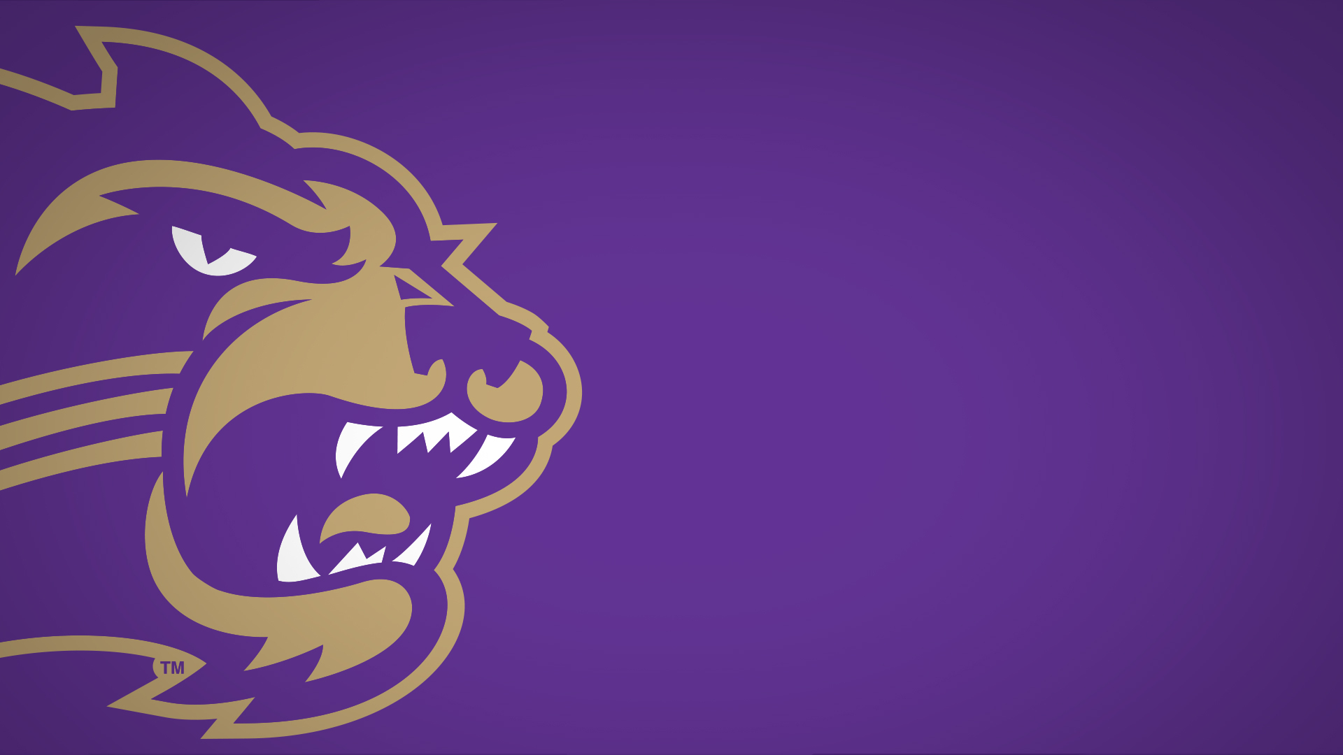 Western Carolina University All Things WCU? Download These Zoom Background!