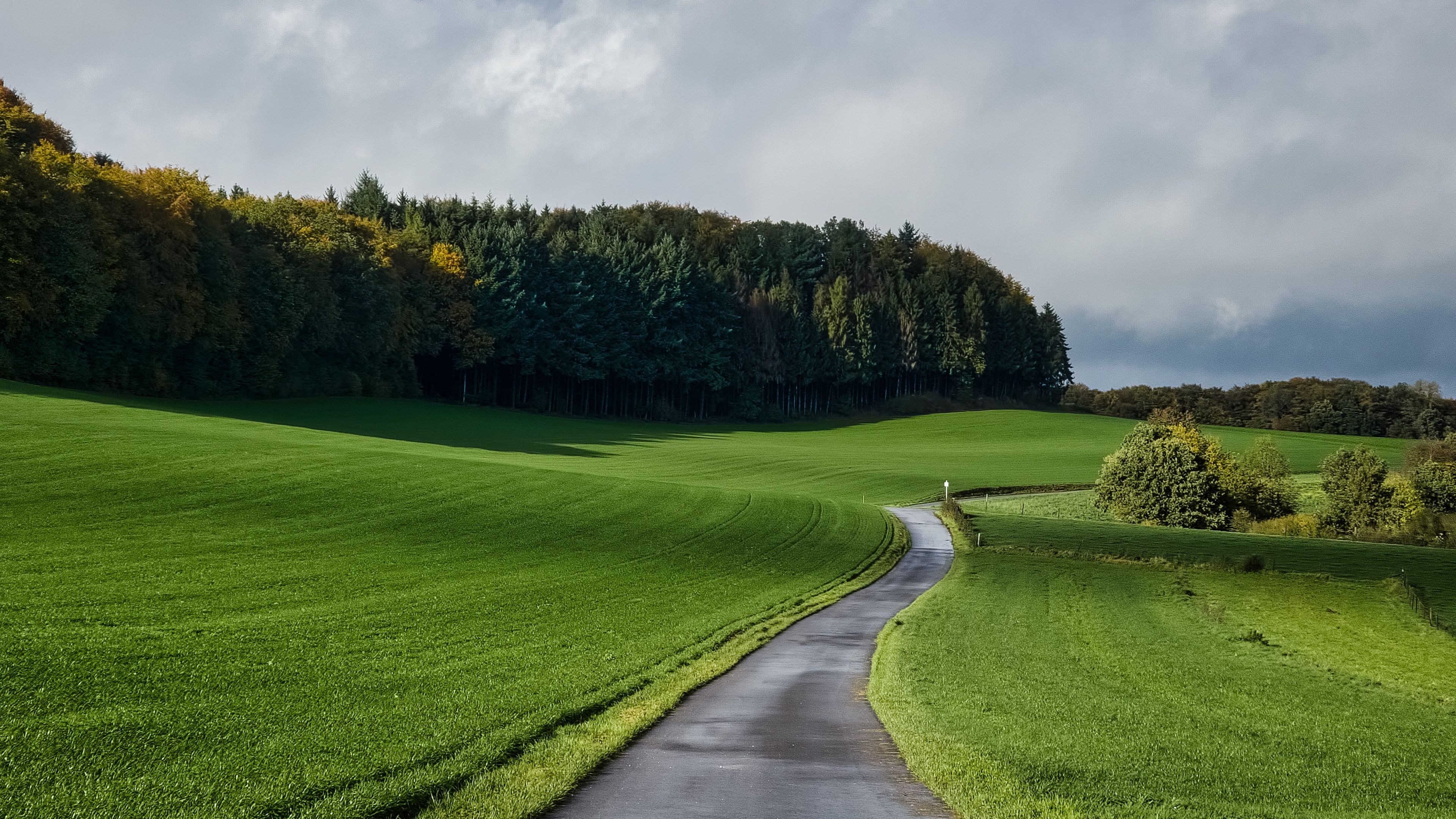 road path grass field clouds sky forest nature landscape wallpaper background 4K HD Nature Wallpaper