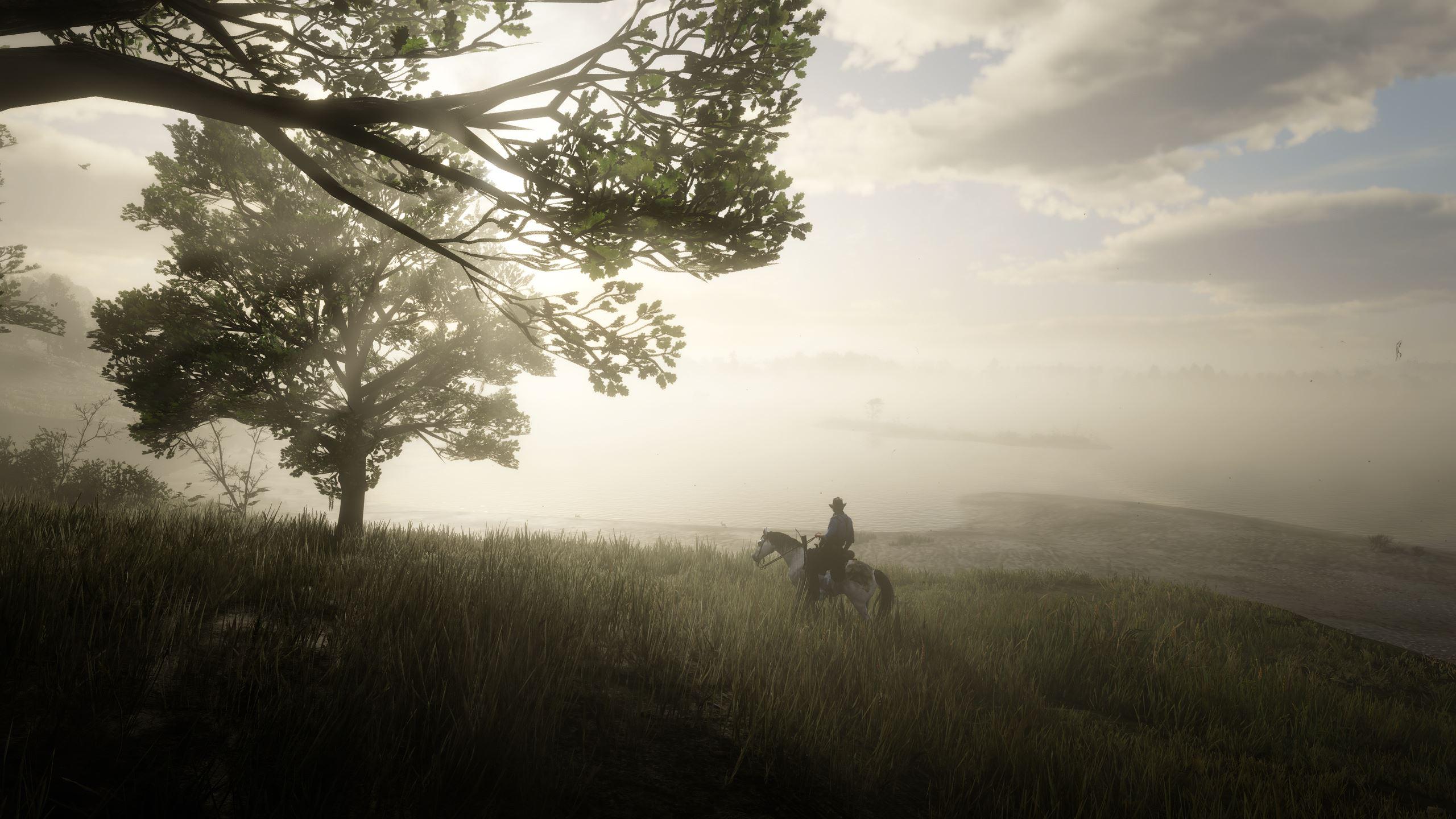 wallpaper content. The Fog is awsome in this gamep