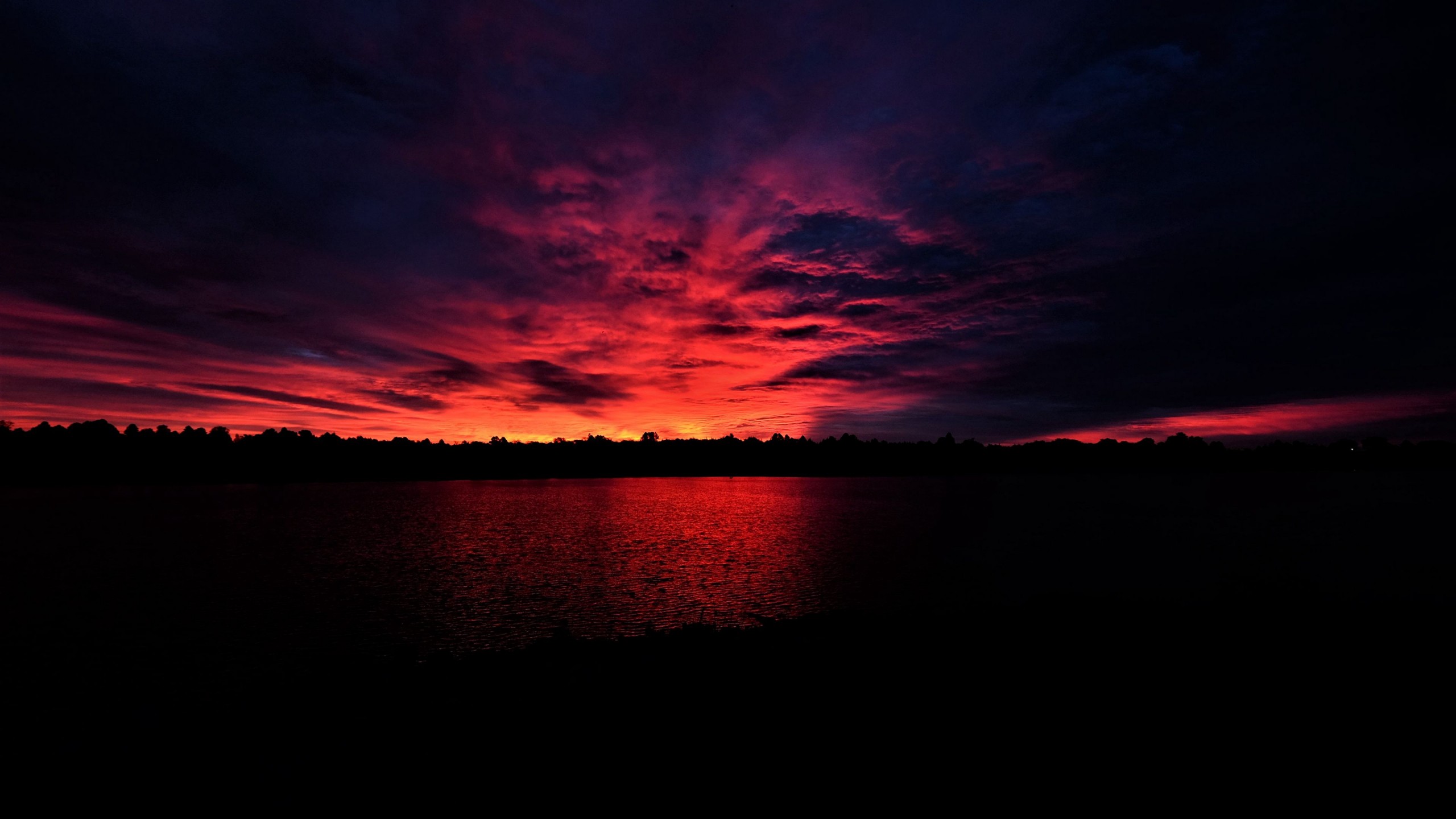 beautiful silhouette sea, trees, sunset, dark wallpaper, background 4K HD Dark Background Wallpaper