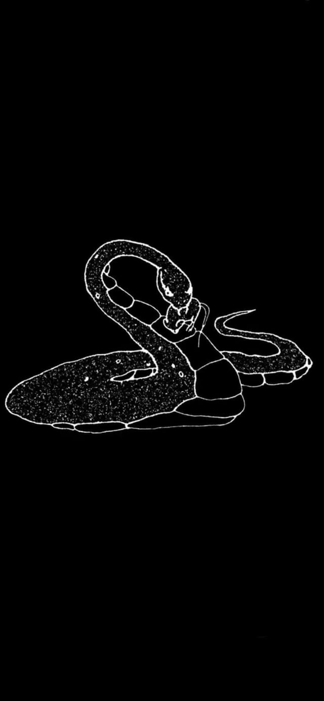 VOIR DIRE IPhone Phone Vertical Wallpaper Dark Mode Inverted (thanks To U No_Statement612 For The Og Pics) Inverted On GIMP