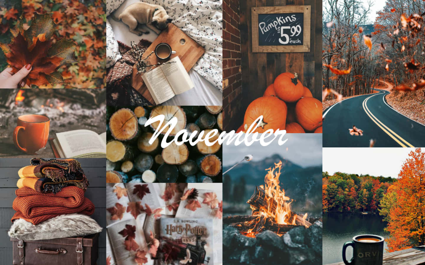 Download Cozy Fall Aesthetic Collage Wallpaper