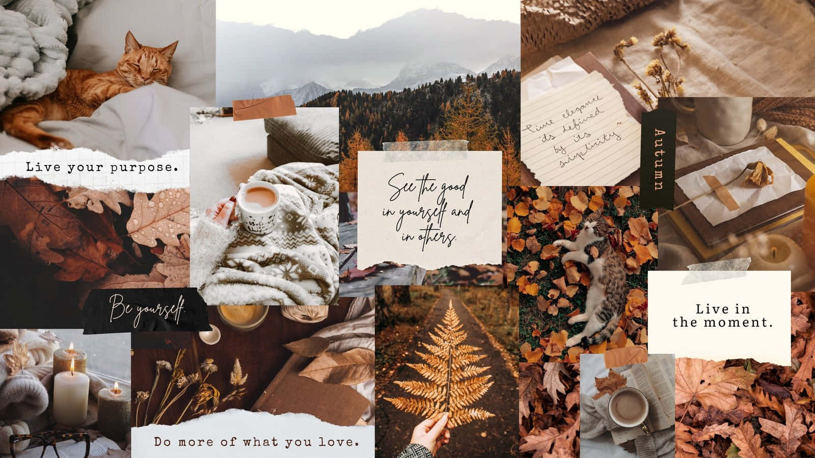 Download Cozy Aesthetic Collage_ Inspirational Quotes Wallpaper