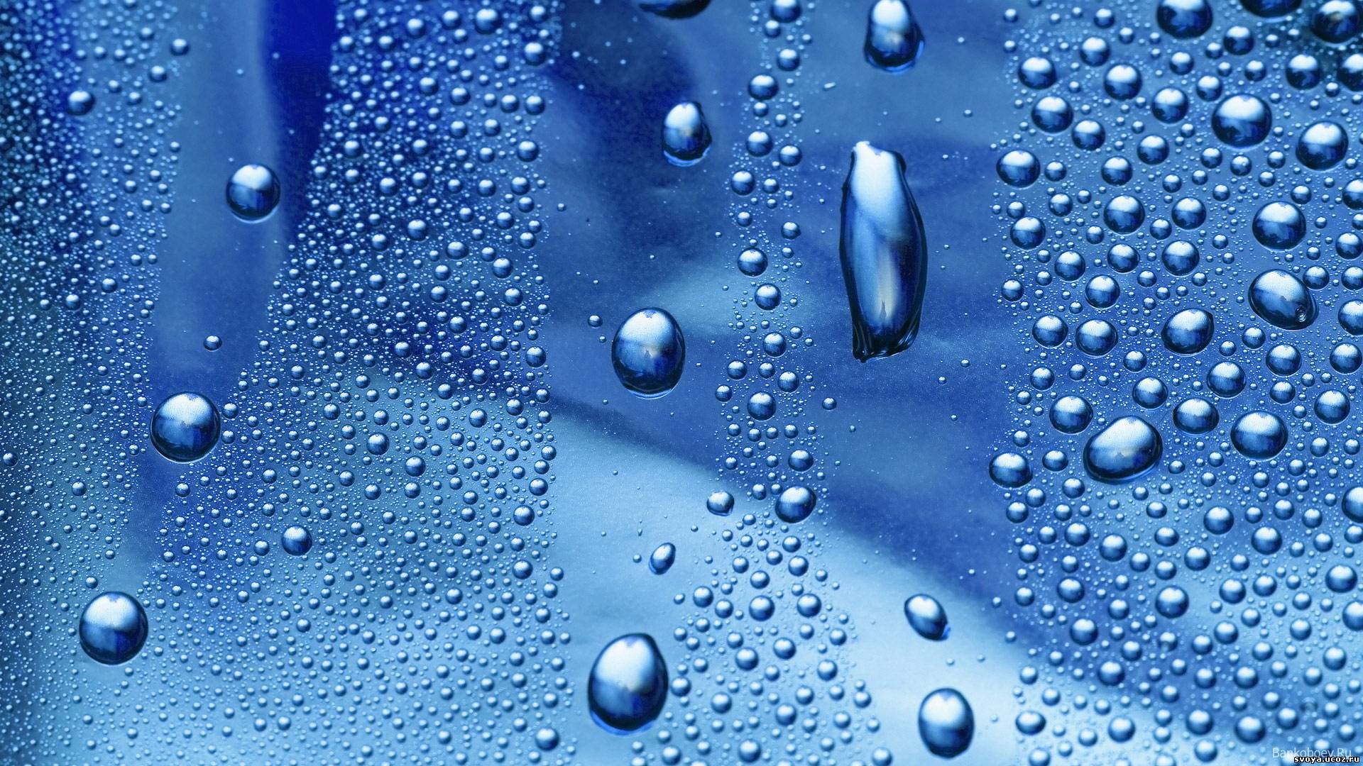 rain, Water, Drops Wallpaper HD / Desktop and Mobile Background