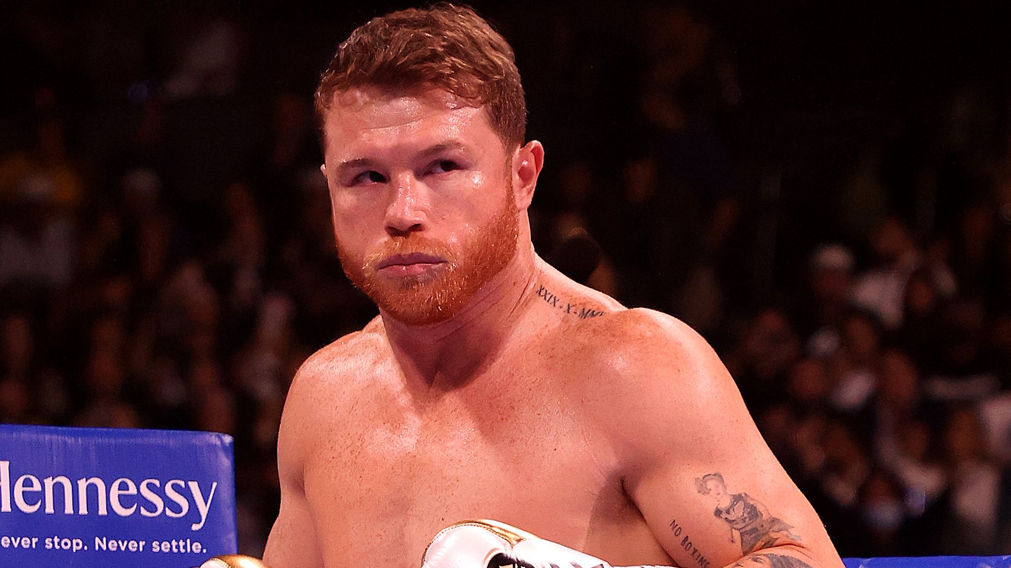 Saul 'Canelo' Alvarez to face Gennady Golovkin in trilogy fight on September 17