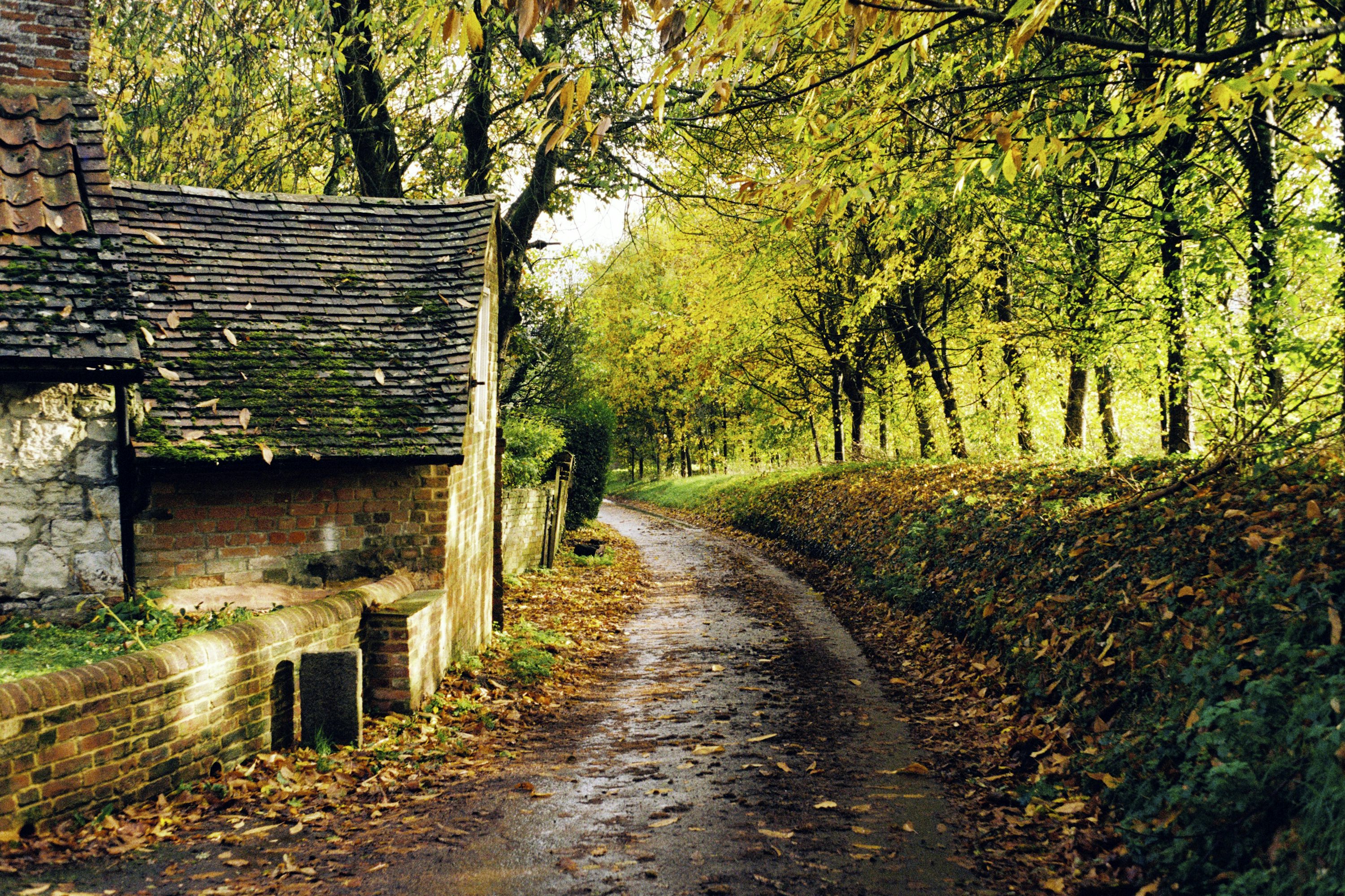 England Countryside Picture. Download Free Image
