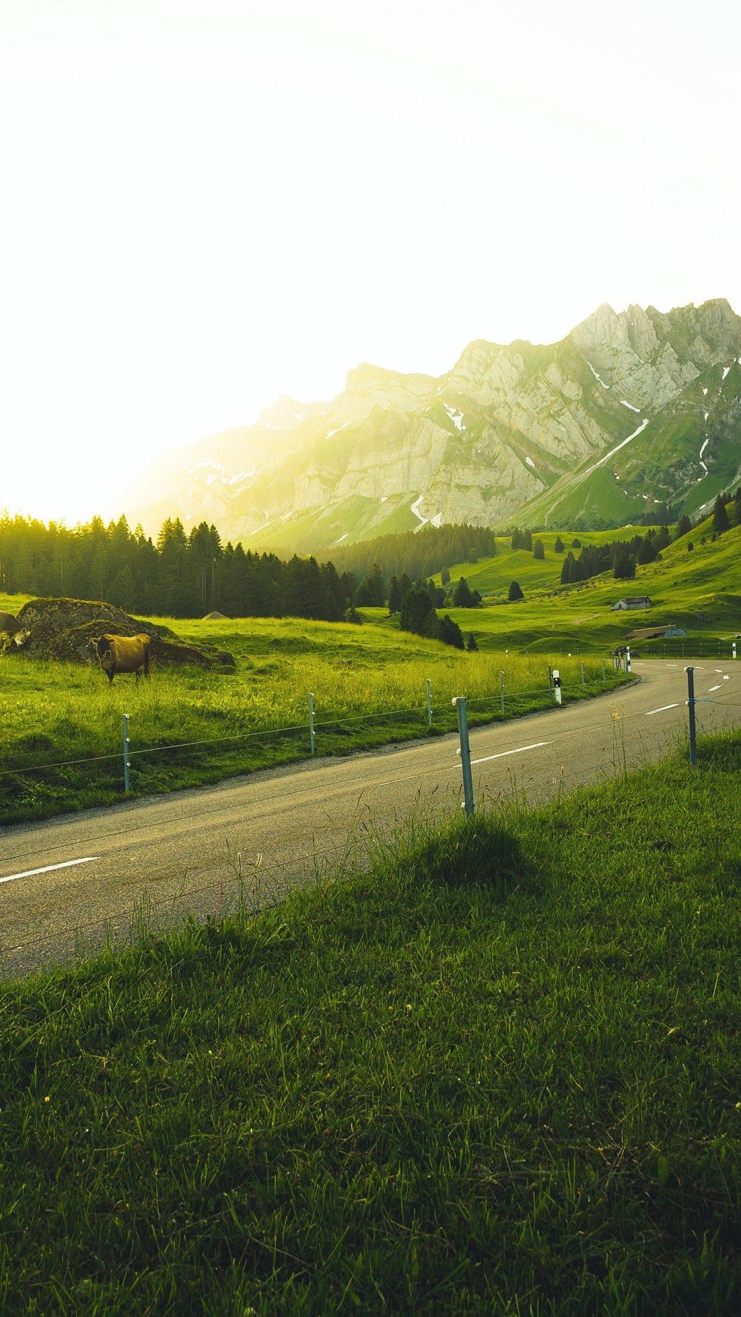 Countryside Landscape Wallpaper