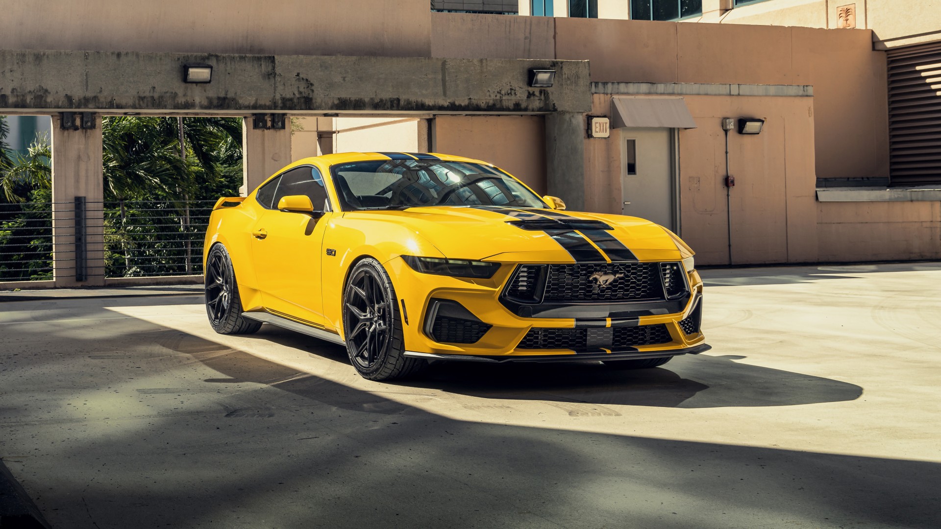 Yellow Ford Mustang GT 5K Wallpaper Car Wallpaper