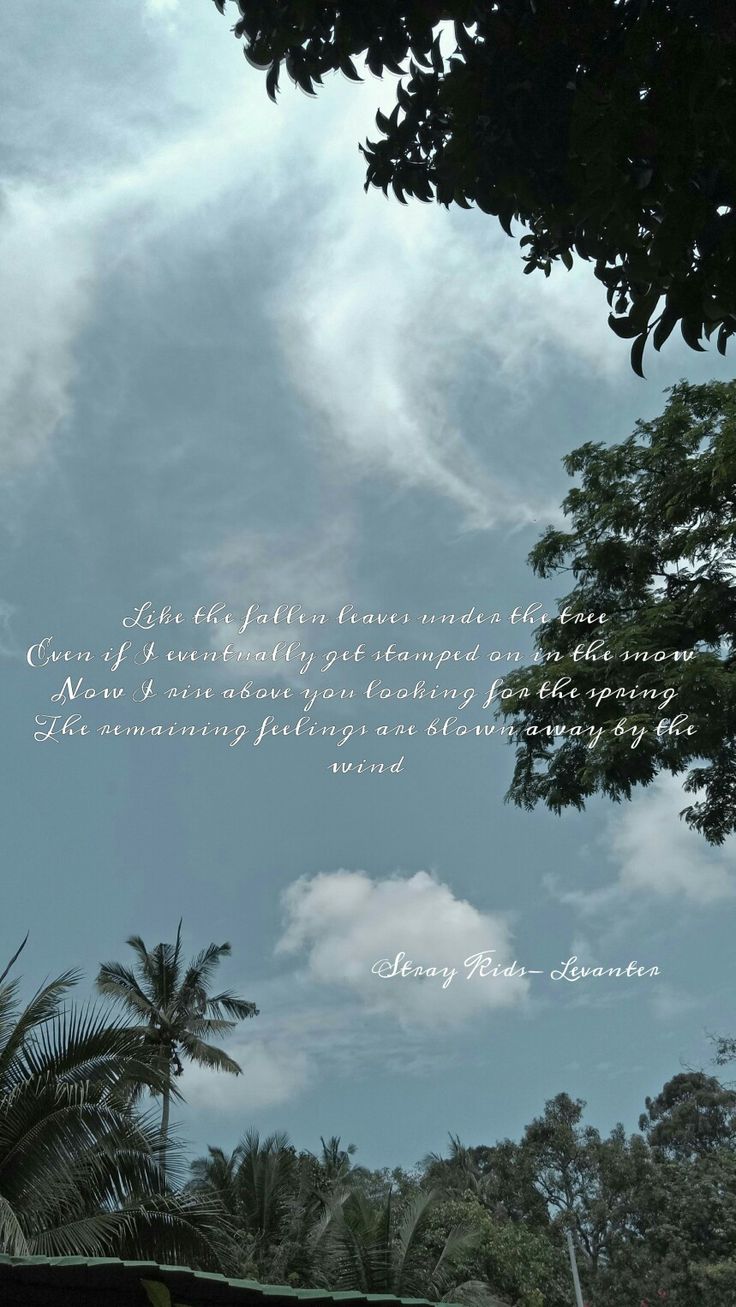 Stray Kids- Levanter Lyric Wallpaper