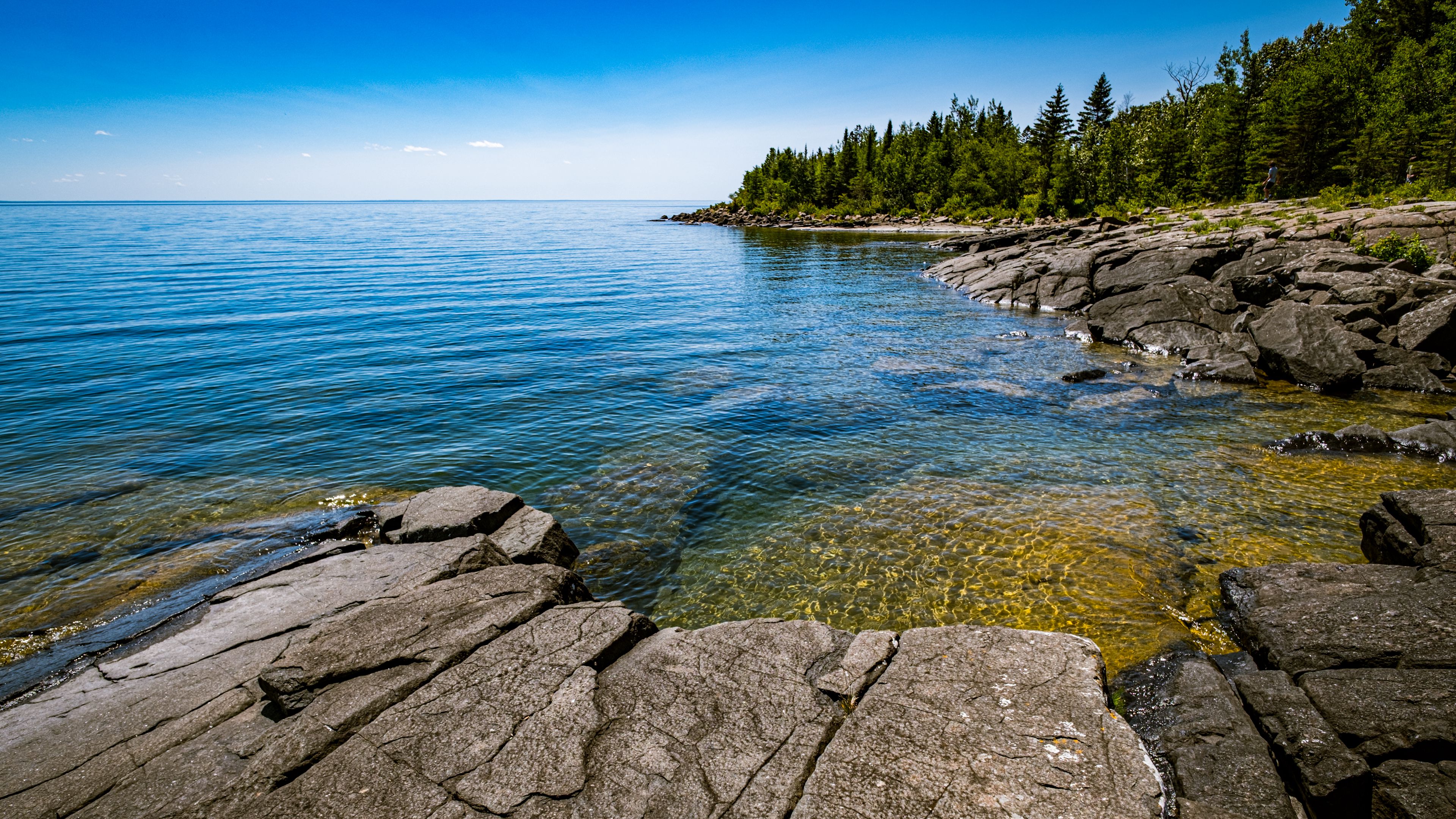 Rocks Sea Ripples Water Stones Trees Nature Ocean Blue Sky Forest 4K HD Nature Wallpaper