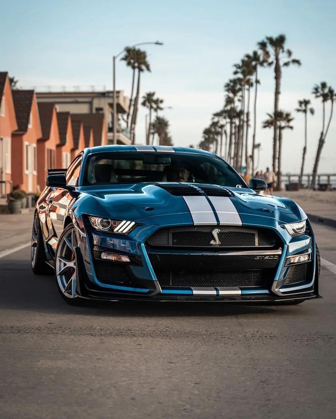 Ford Mustang Shelby GT500 [1080x1349]