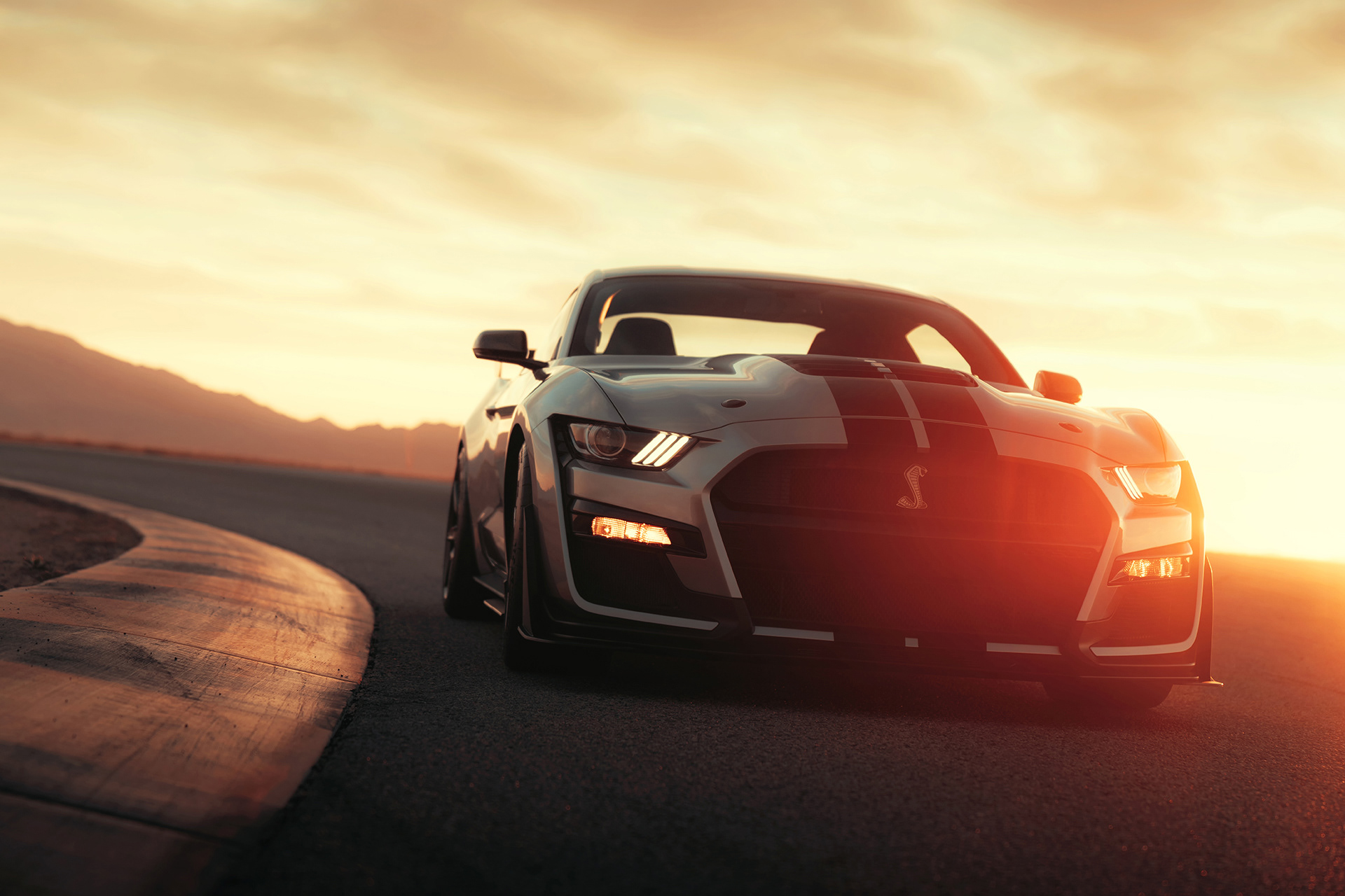 Ford Mustang Shelby GT500. Image - Behance