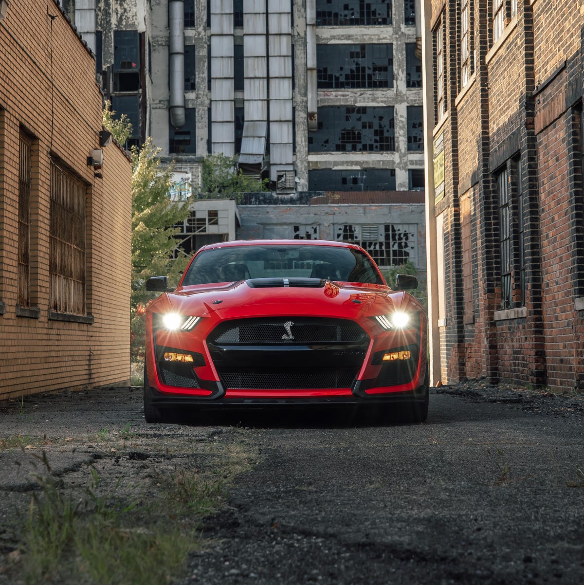 View Photo of the 2020 Ford Mustang Shelby GT500