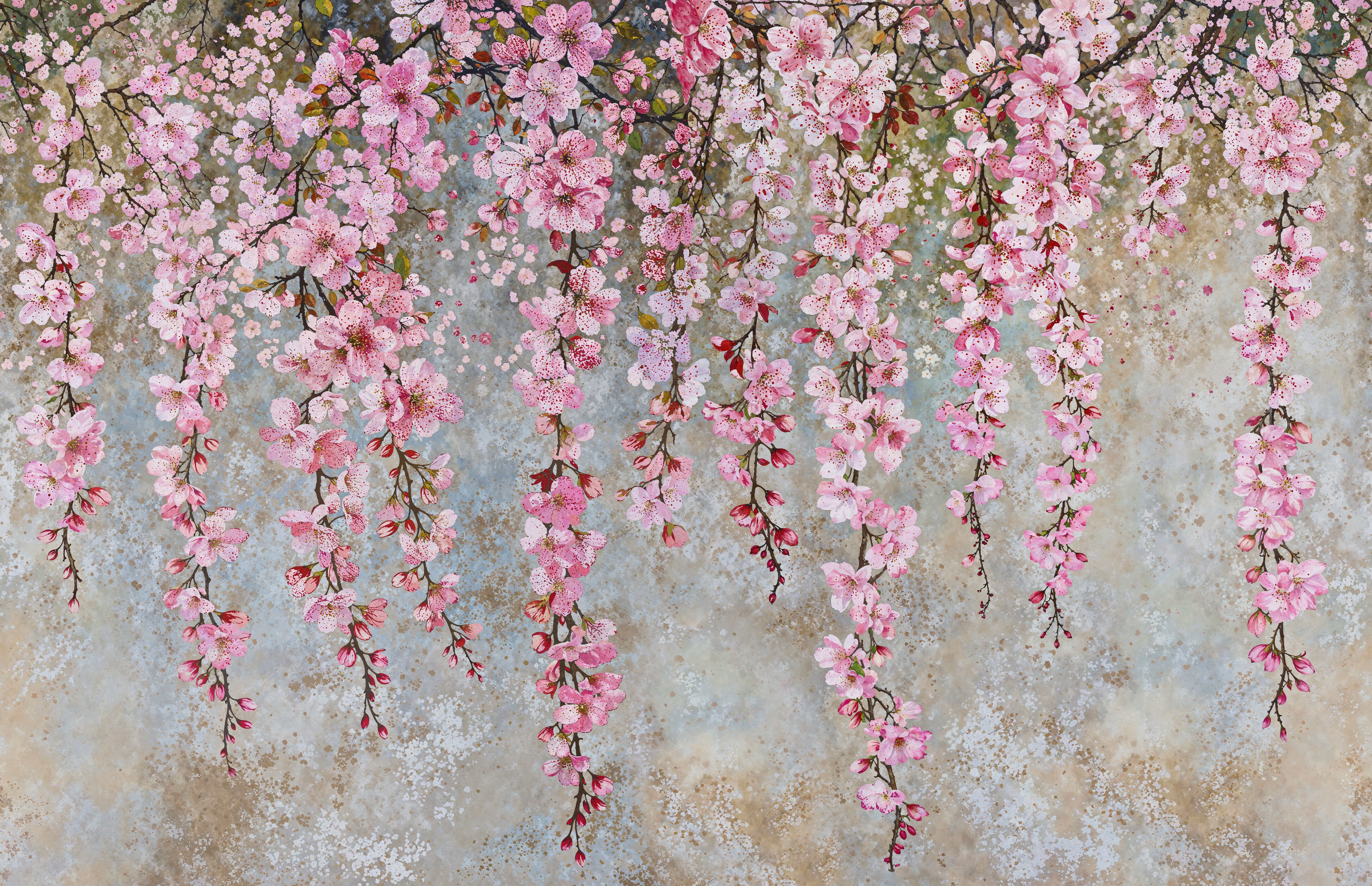 Pink Cherry Blossom Wallpaper