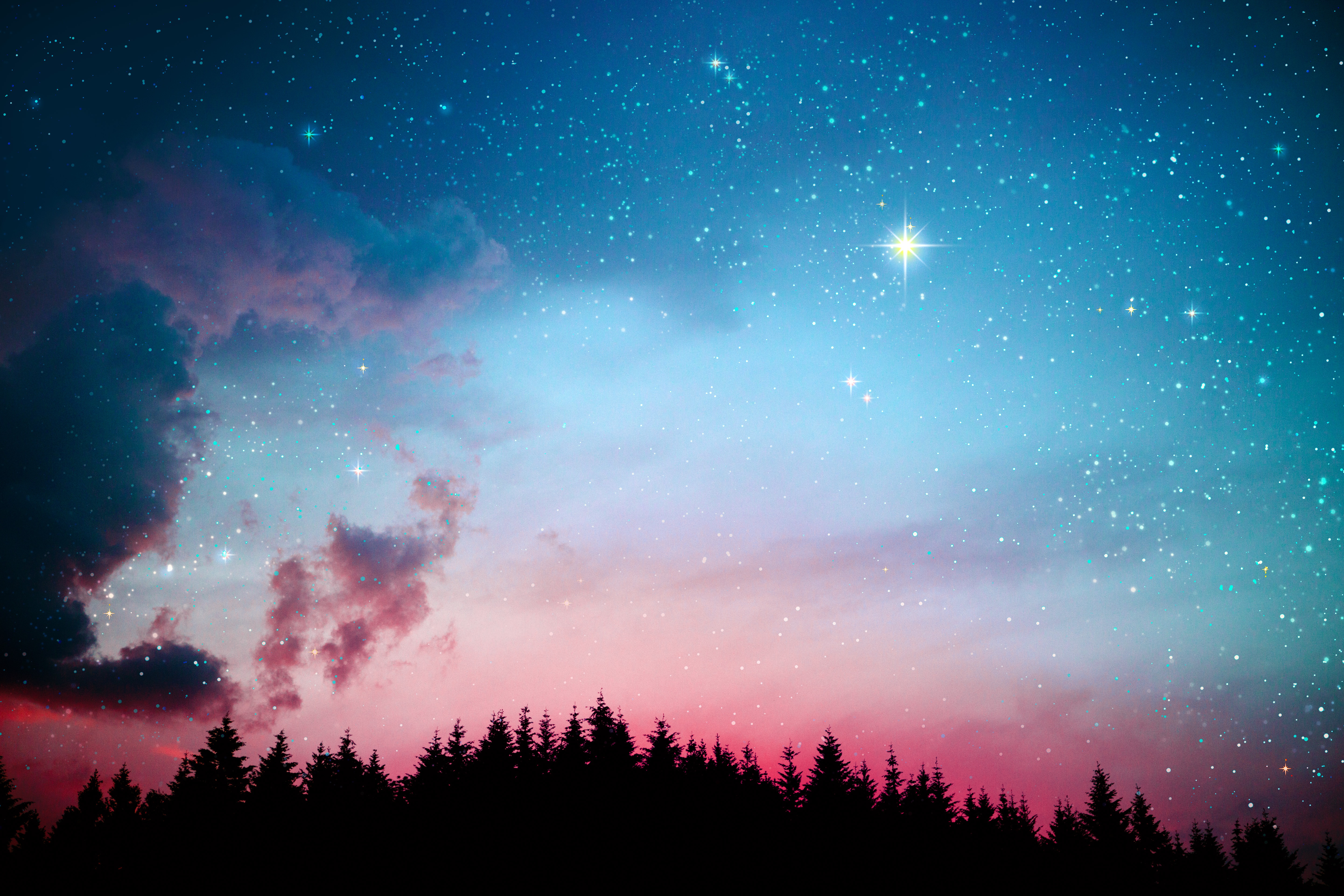 Galaxy Stars Lights Forest Night 5k Wallpaper, HD Nature Wallpaper, 4k Wallpaper, Image, Background, Photos and Picture