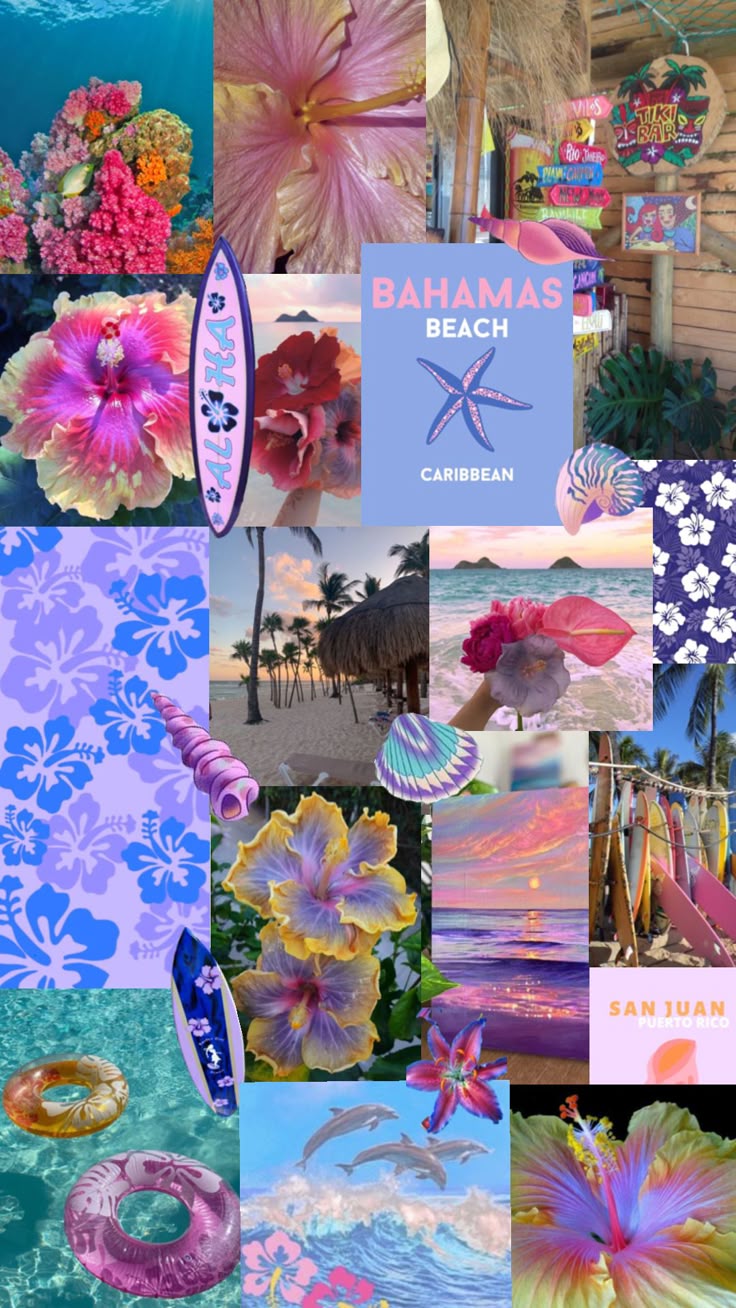 Hawaii in purple ✨