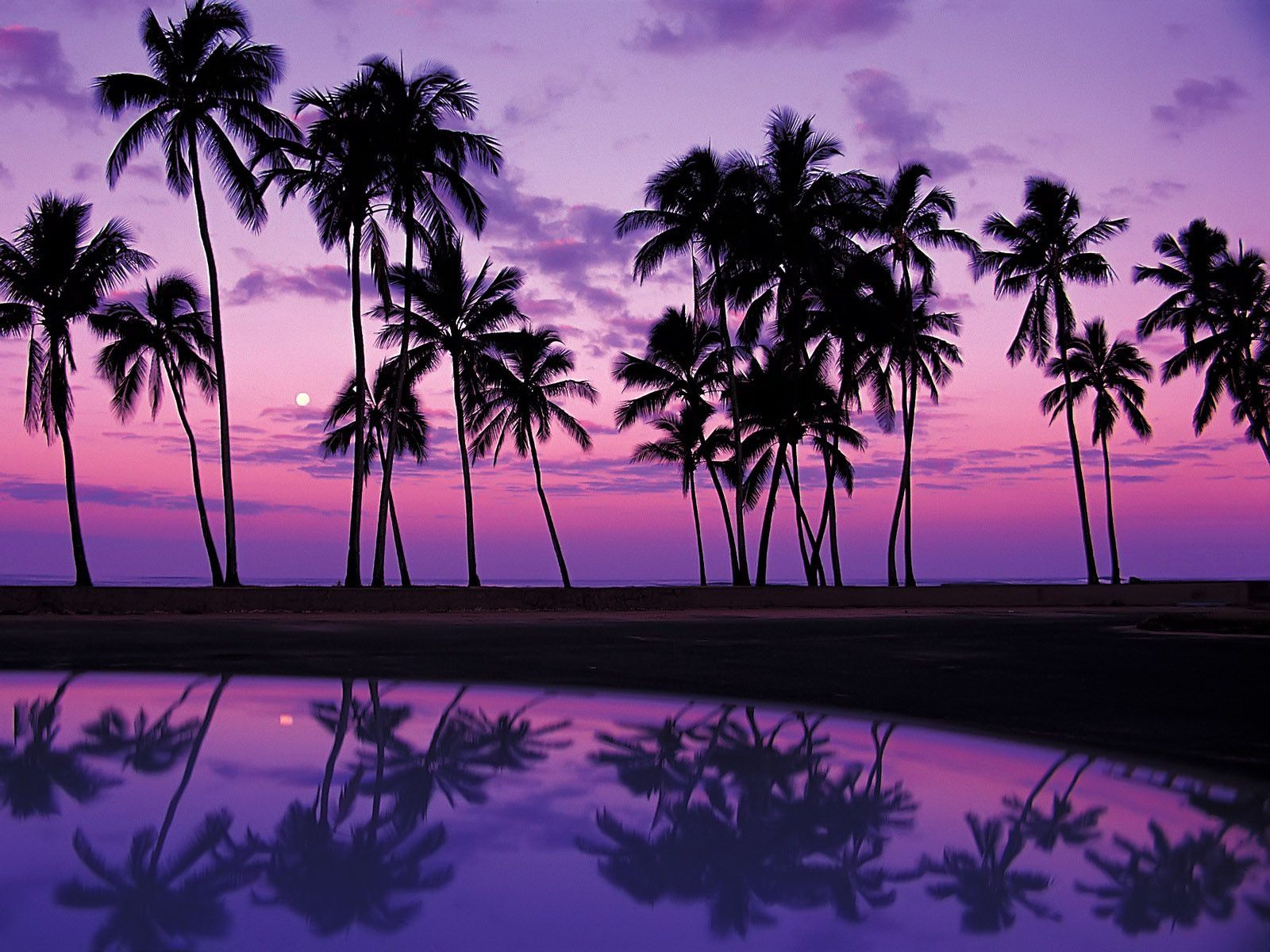 Purple Sunset Hawaii Beach Wallpaper, HD Purple Sunset Hawaii Beach Background on WallpaperBat