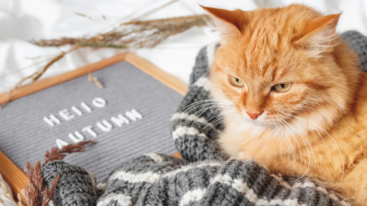 Orange Cat Sneaking Into a Fall Tablescape Is Pure Pumpkin Spice Energy