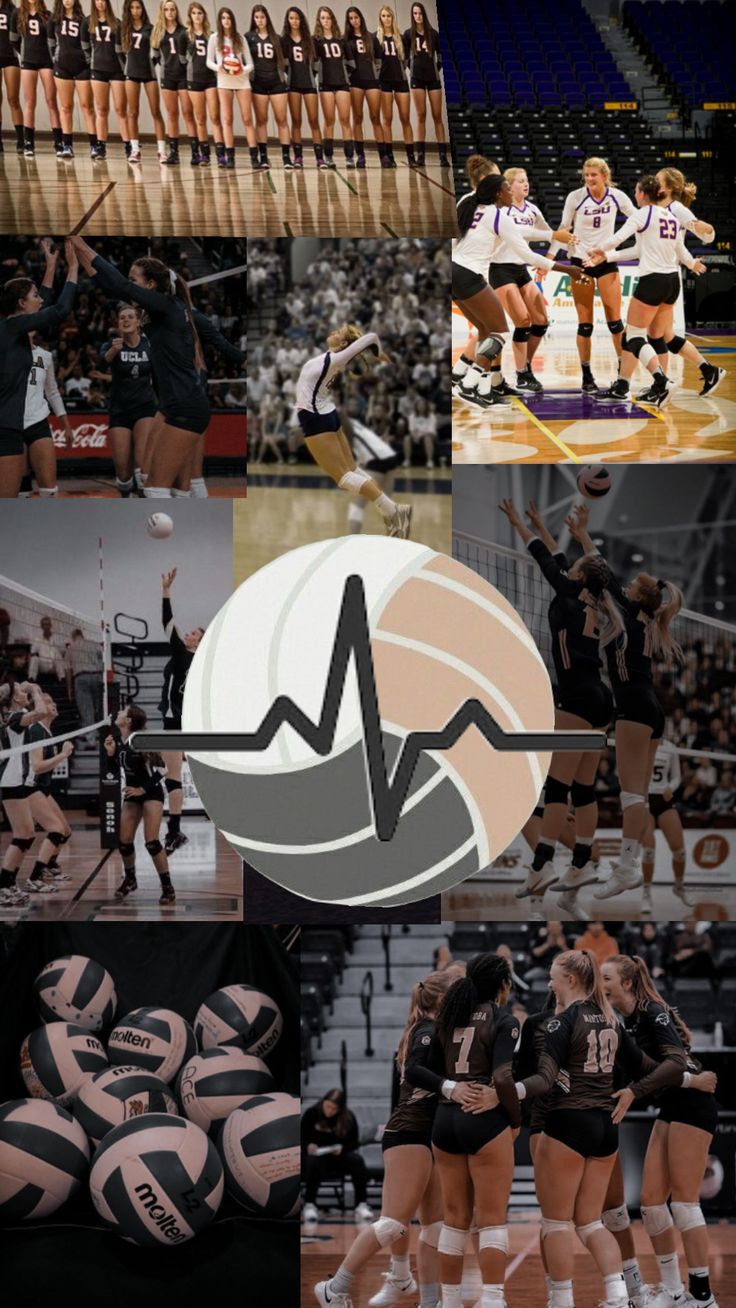 volleyball #wallpaper #volleyball4life