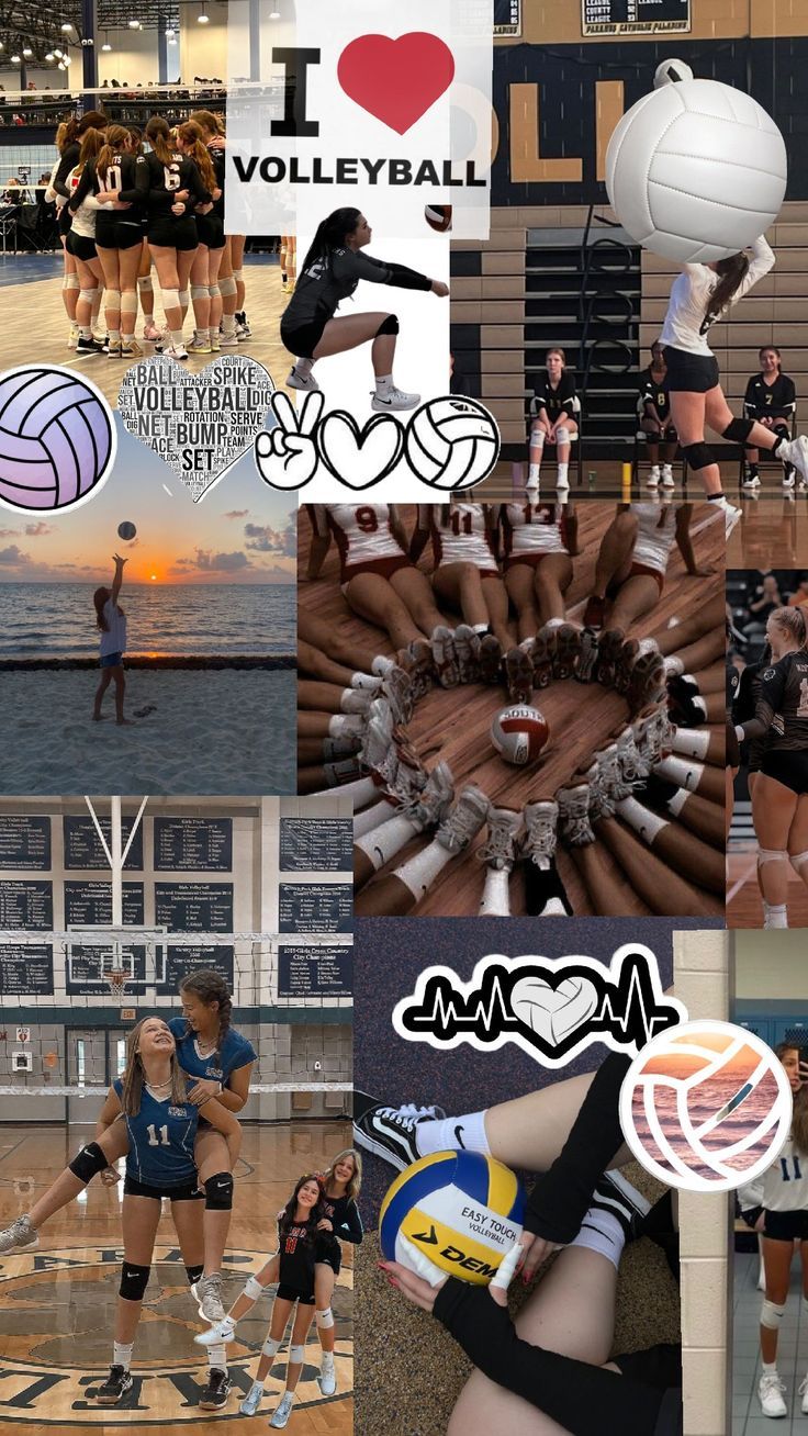 Volleyball wallpaper, Volleyball