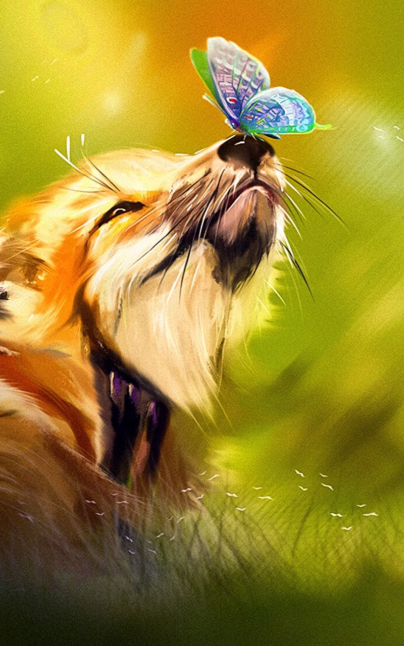Download Wallpaper 800x1280 Fox, Butterfly, Cute, Animal, Art Samsung Galaxy Note Gt N7000, Meizu Mx2 HD Background