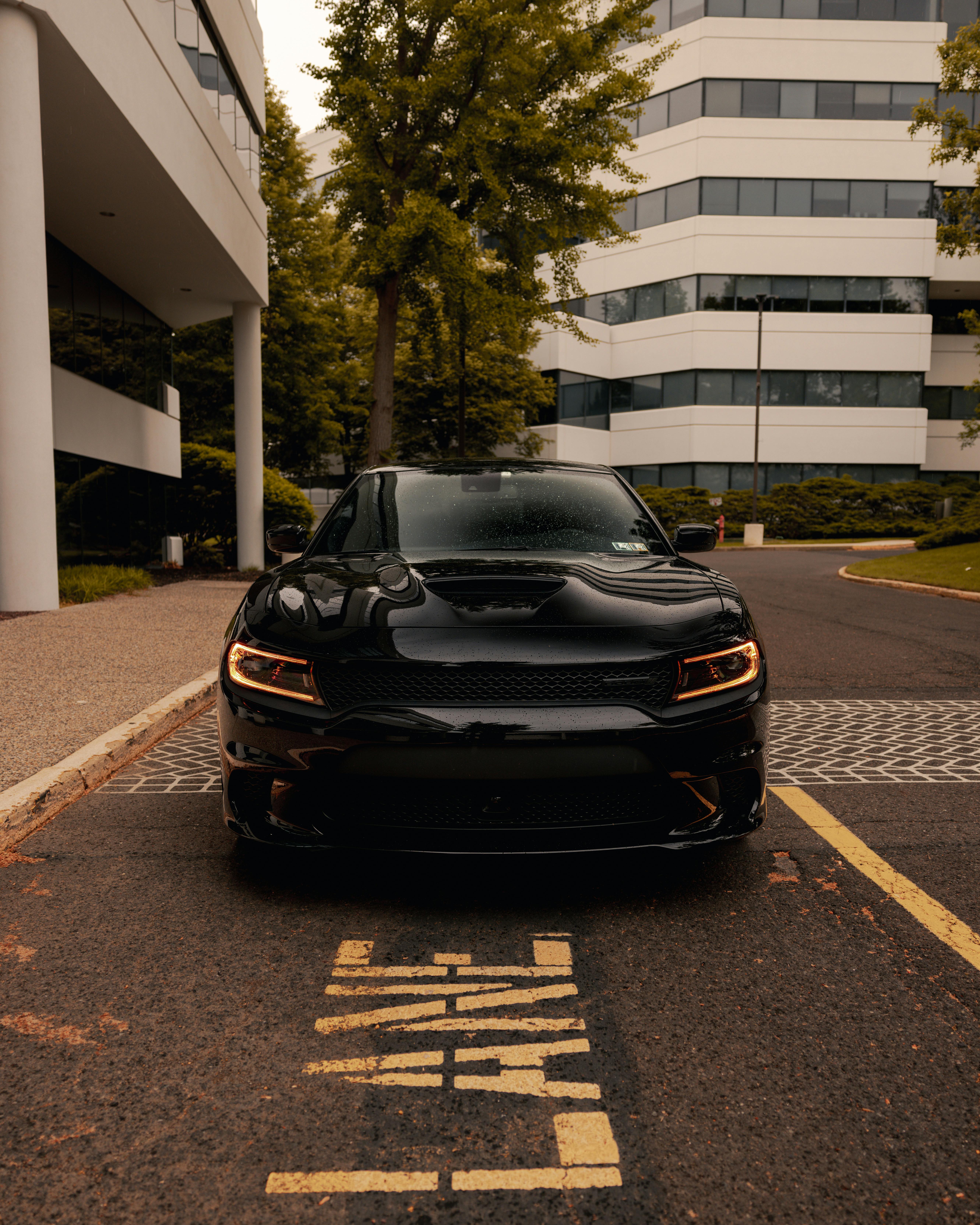 Dodge Charger Photo, Download The BEST Free Dodge Charger & HD Image