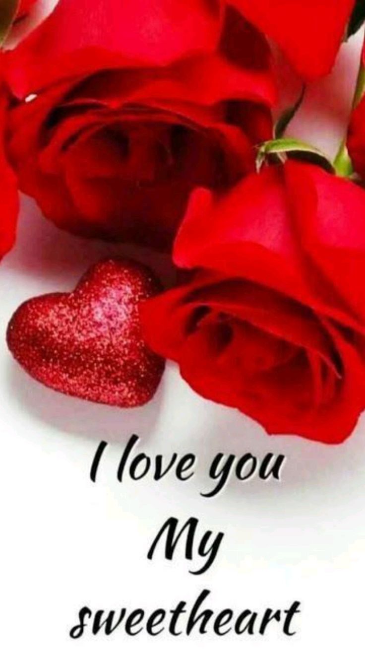 Love You Wife Wallpapers - Wallpaper Cave, image size:736x1308